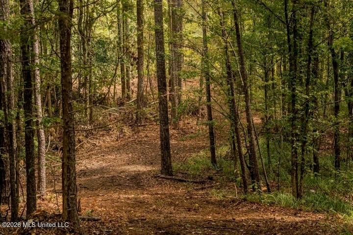 36± Acre Hunting Property Near Bude, MS