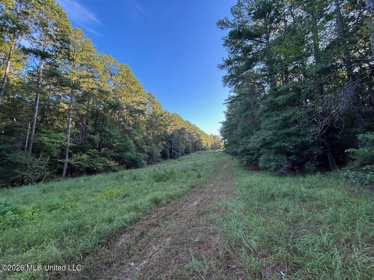 210+/- Acres and Cabin in Franklin County, MS