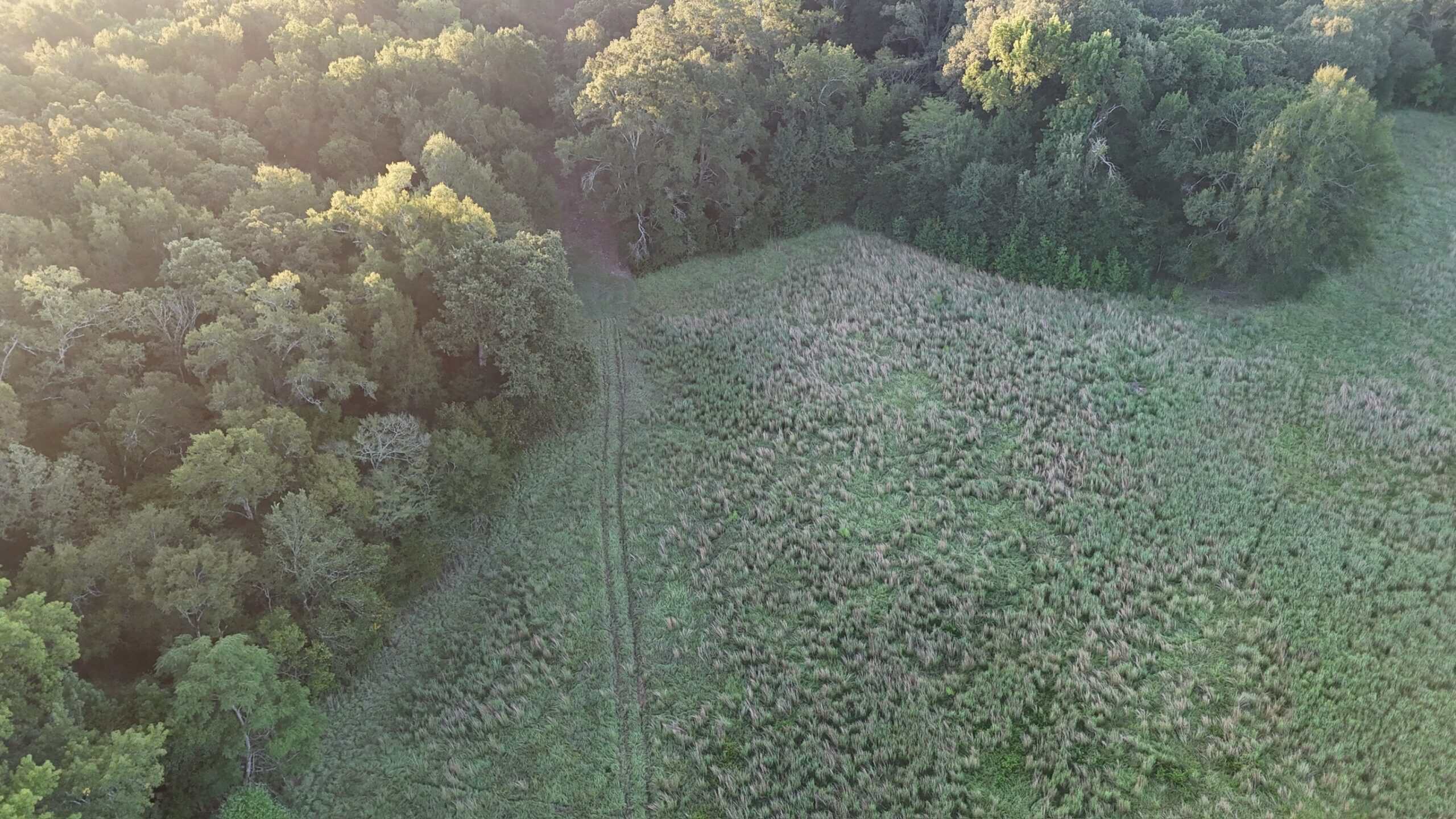 80 Ac Home, Hunting & Cattle Land in Franklin Parish LA