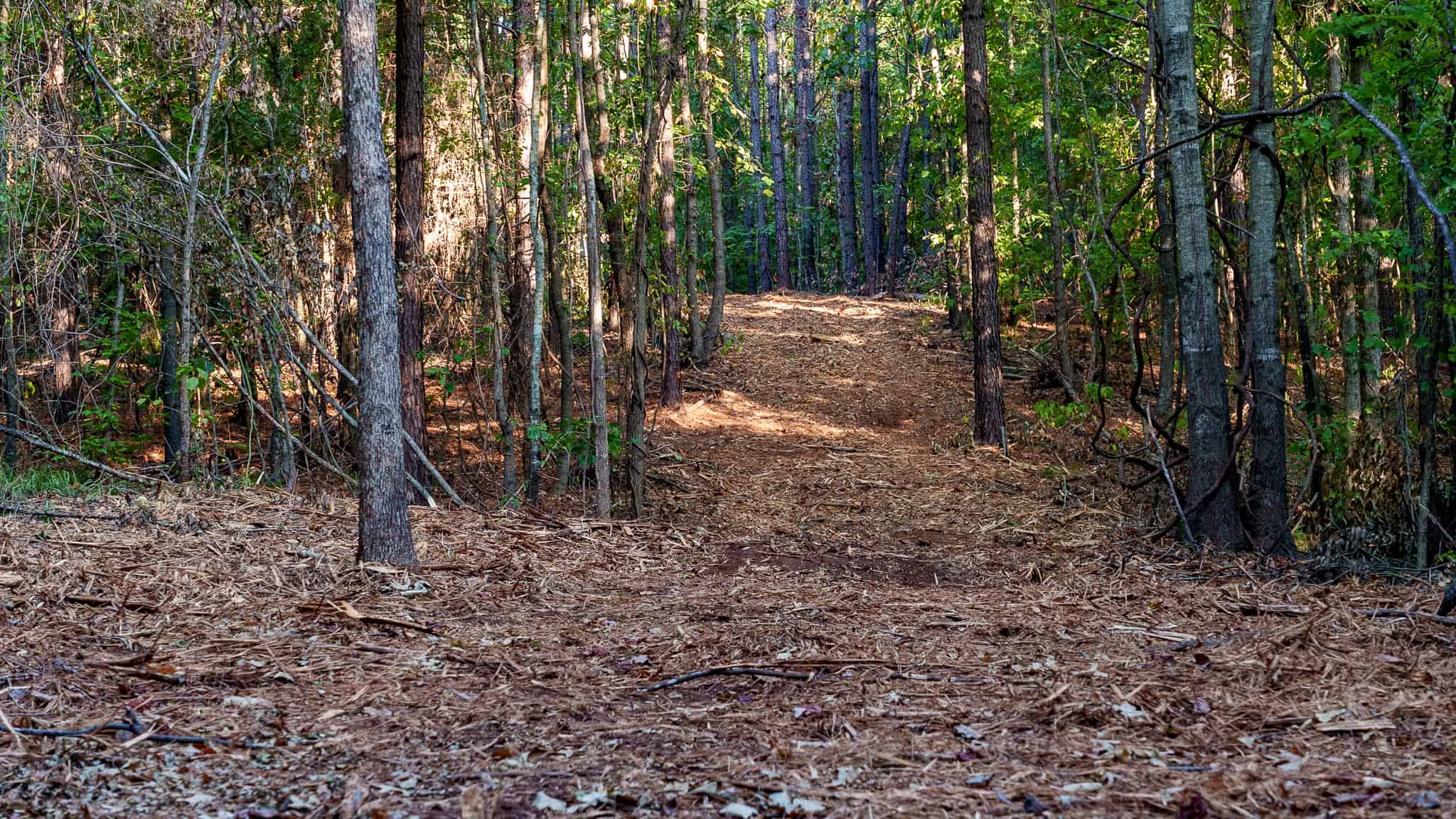 Tyler Texas Hunting Property for Sale 141 ± Acres East of Dallas
