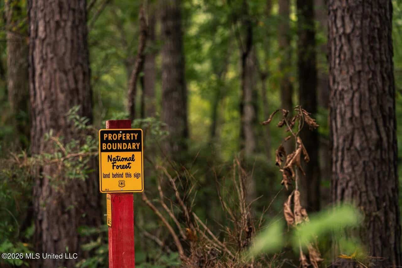 13± Acres by Homochitto National Forest Near Meadville, MS