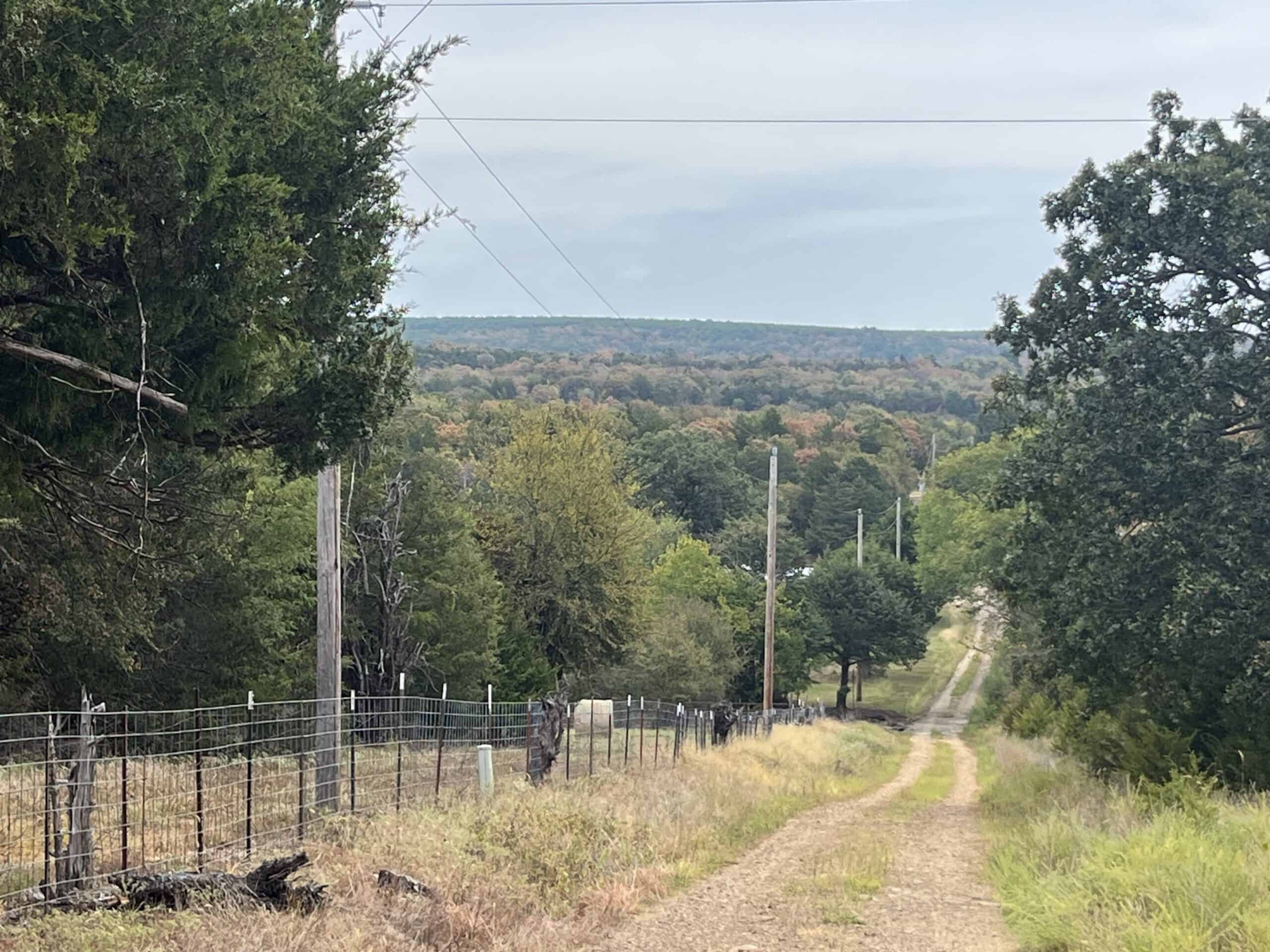 85 Acres of Hunting Land with Native Timber, Wildlife & Pond in SE Oklahoma