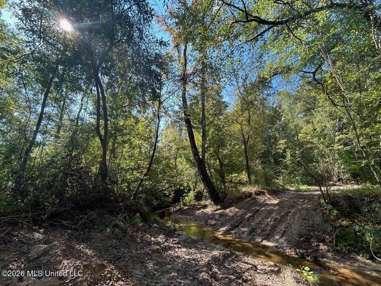 45± Acre Hunting Property in Franklin County, MS