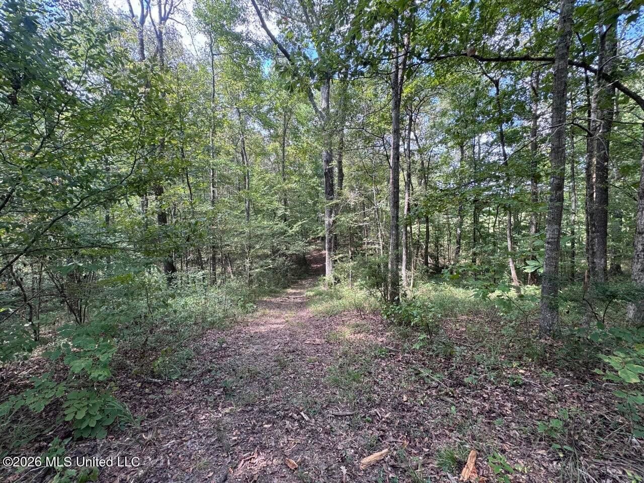 200± Acre Hunting Property in Jefferson County, MS