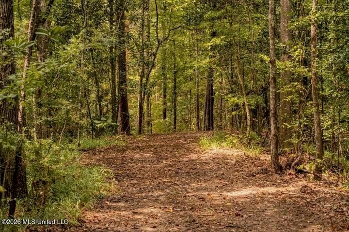 36± Acre Hunting Property Near Bude, MS
