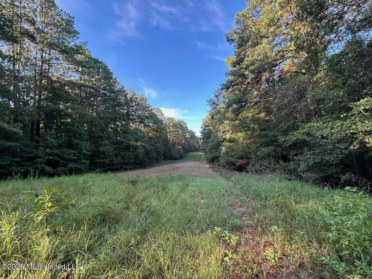 210+/- Acres and Cabin in Franklin County, MS