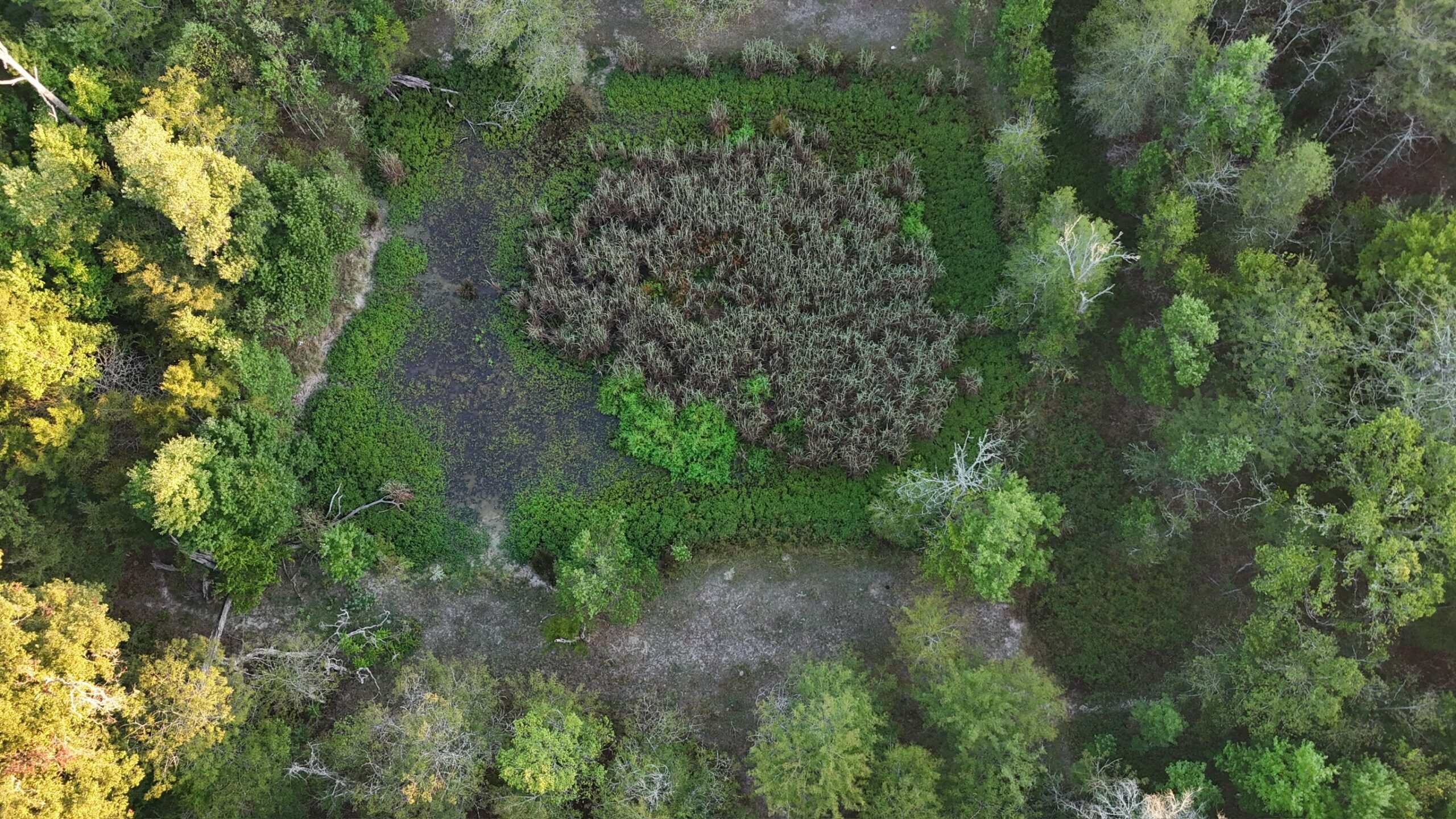 80 Ac Home, Hunting & Cattle Land in Franklin Parish LA