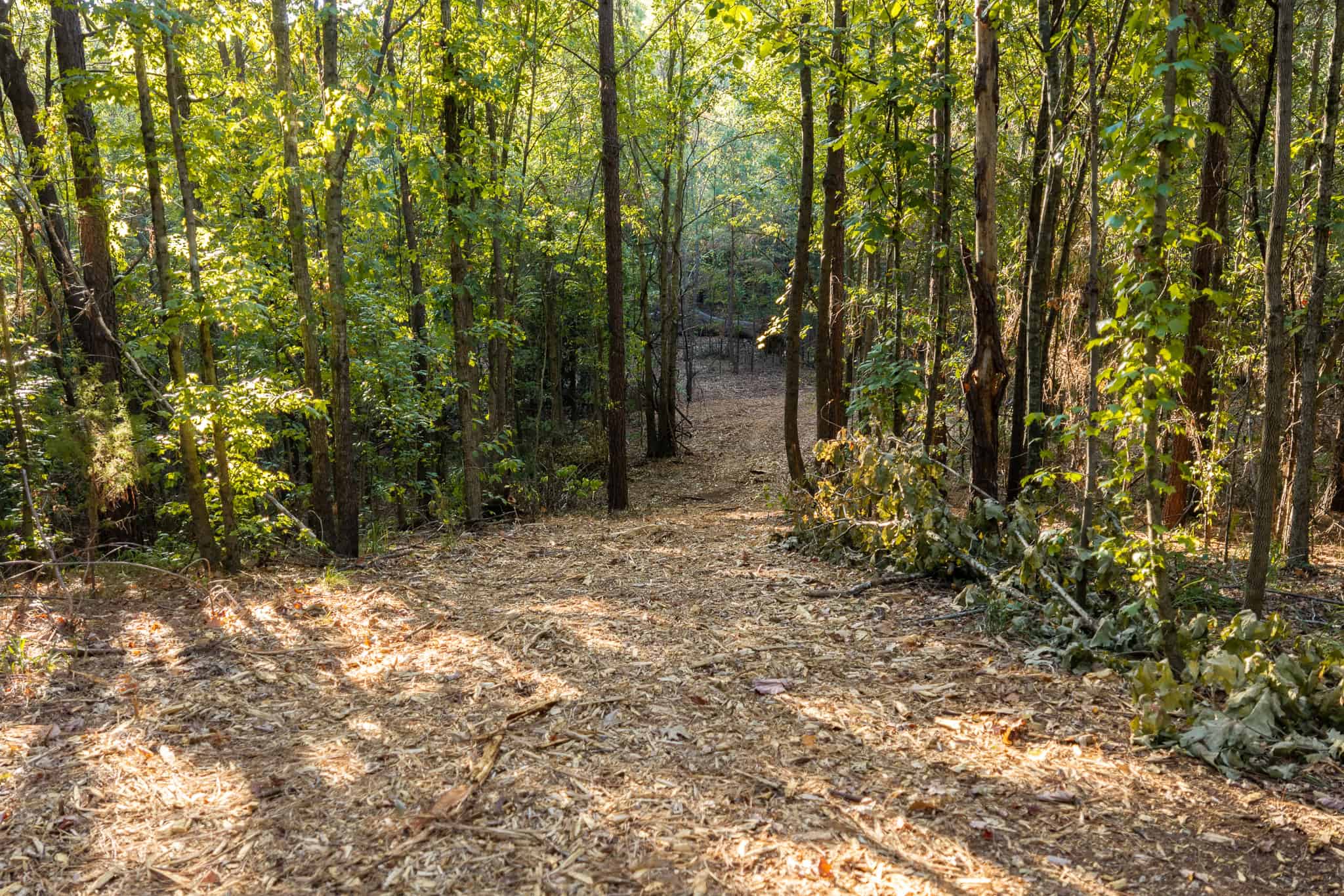 Tyler Texas Hunting Property for Sale 141 ± Acres East of Dallas