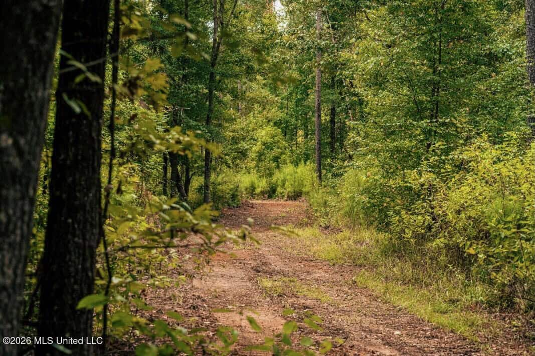 58± Acre Hunting Property in Franklin County, MS