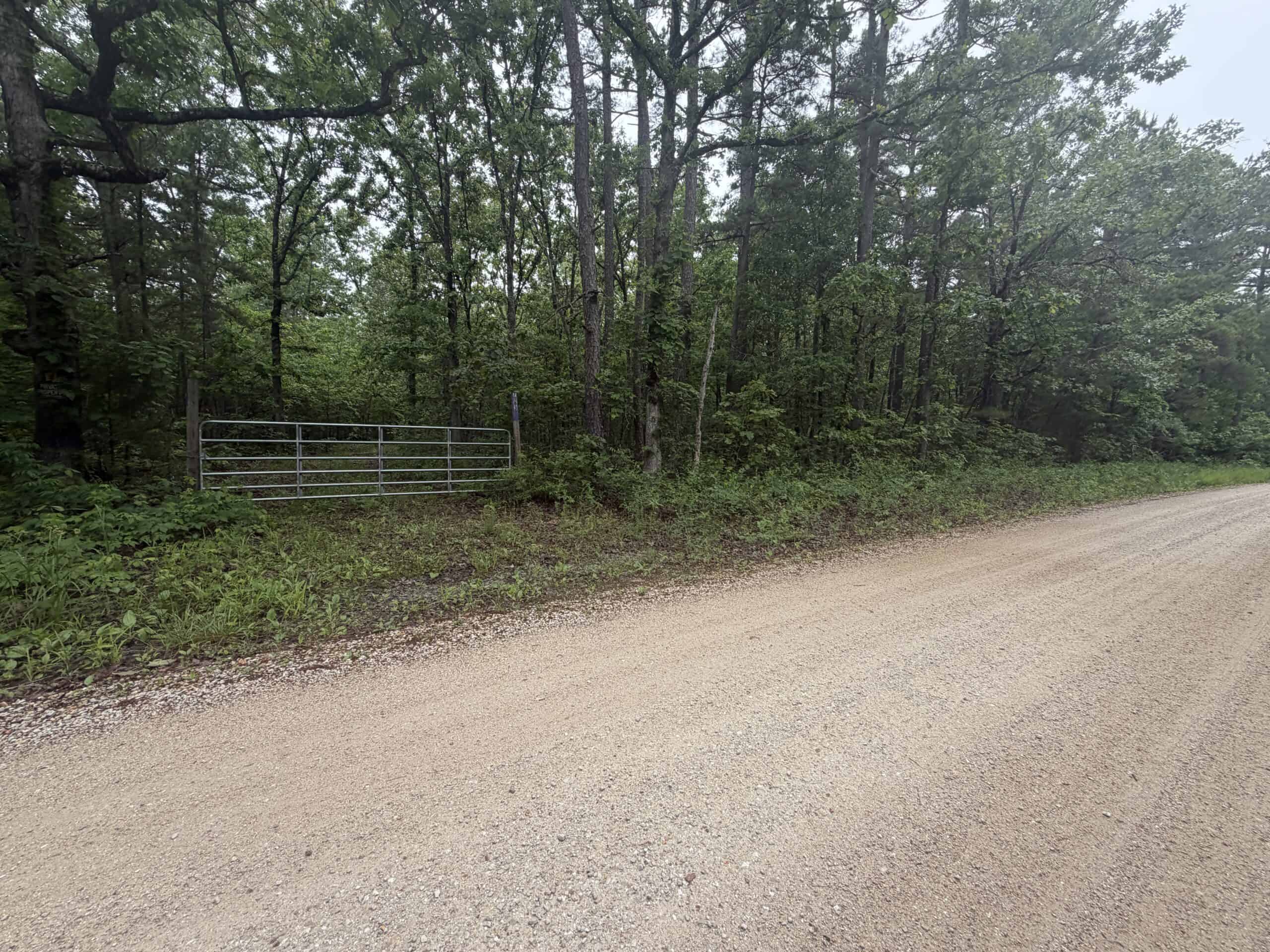 46.12 ± Acre Hunting Land for Sale in the Missouri Ozarks