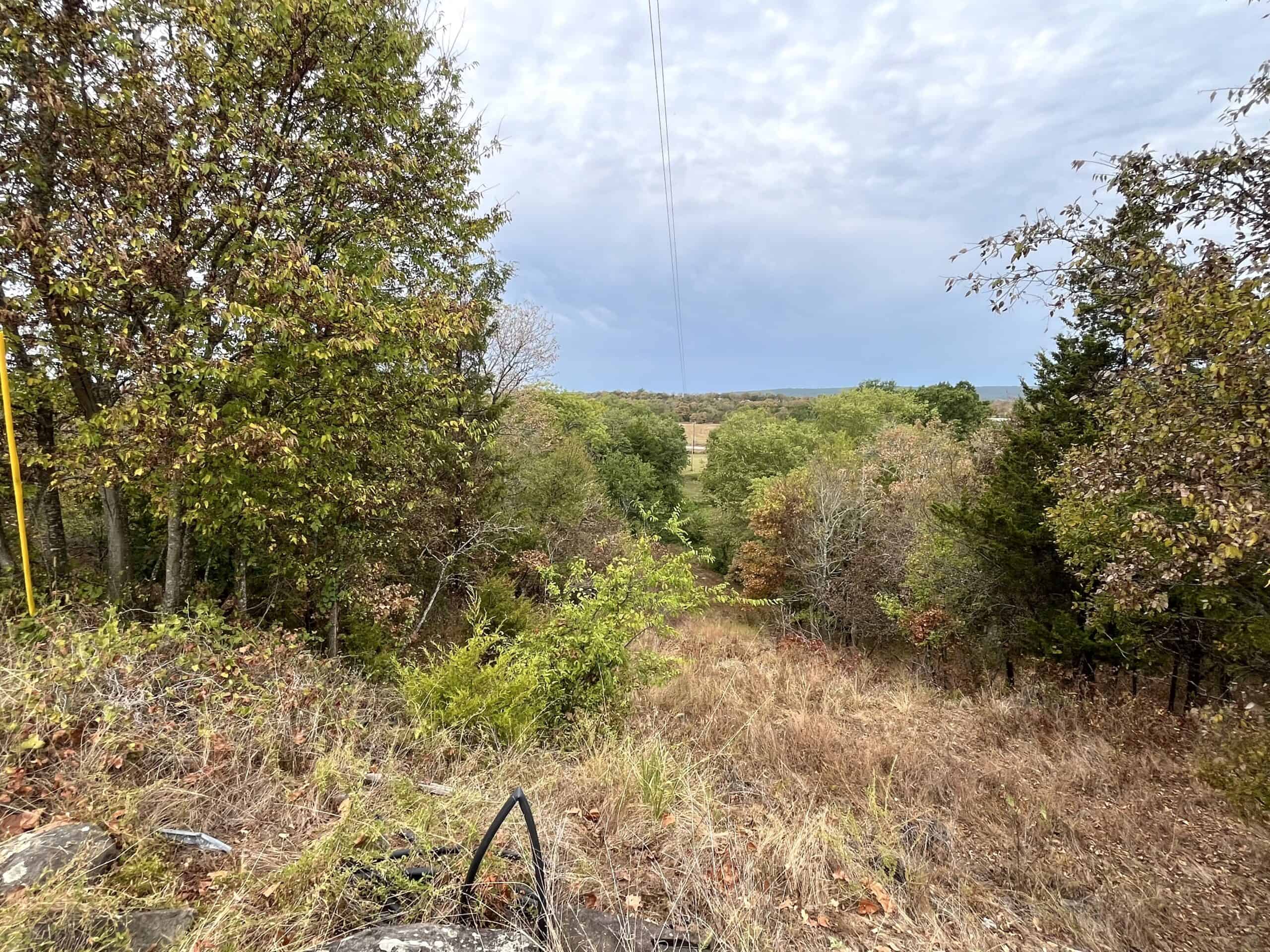 85 Acres of Hunting Land with Native Timber, Wildlife & Pond in SE Oklahoma