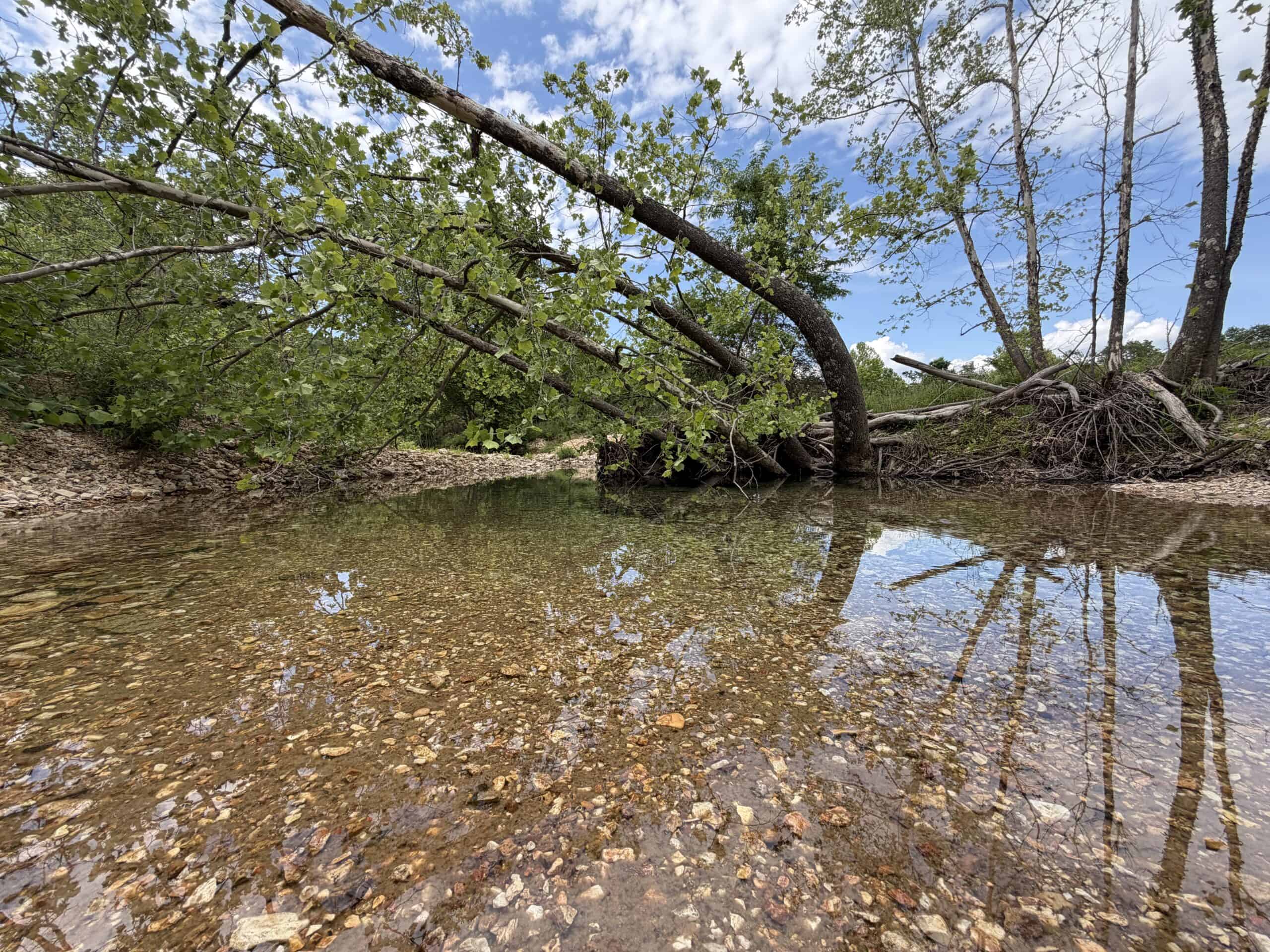 473 ± Acre Ozark Farm for Sale Near Salem, Missouri
