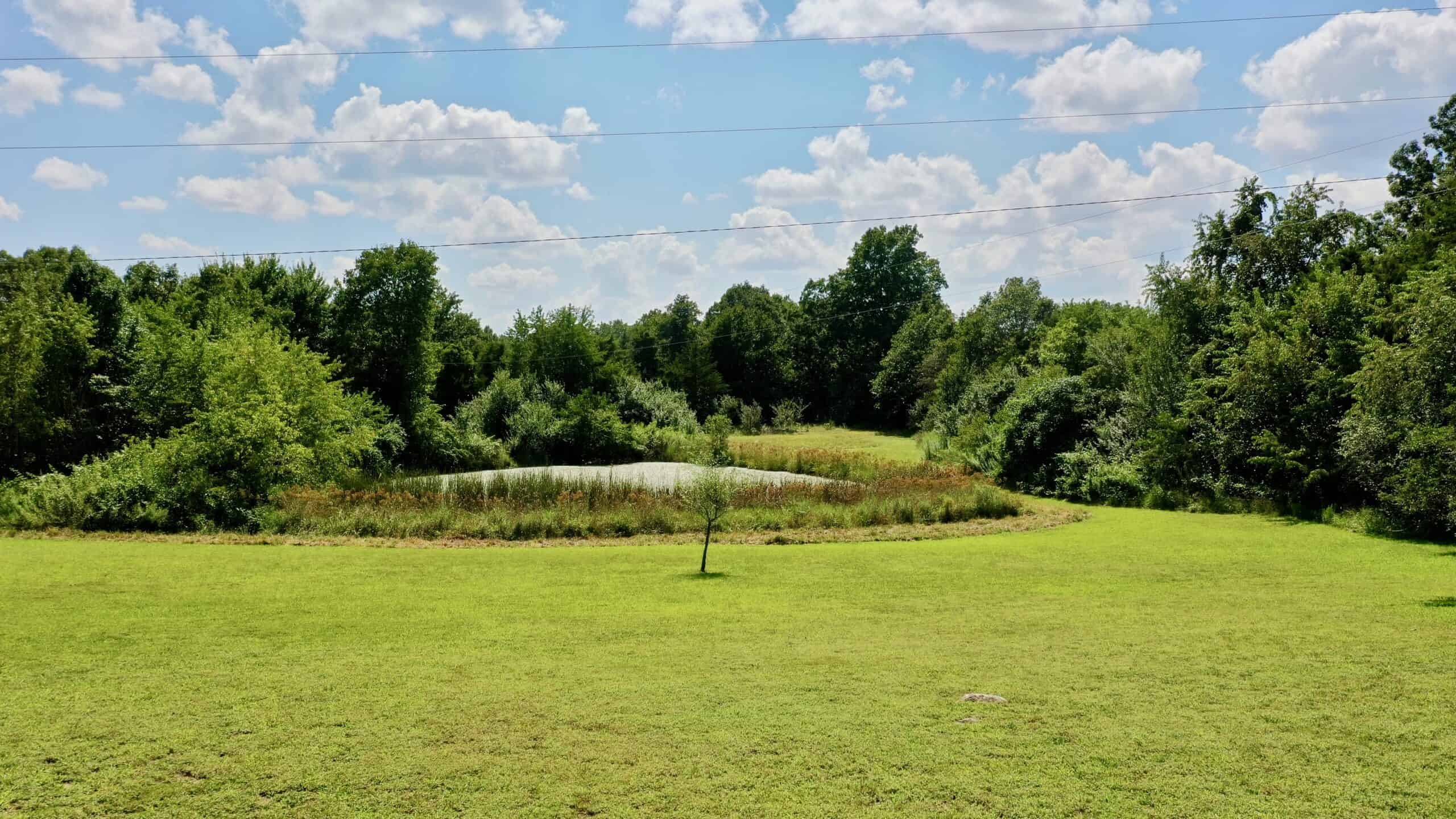 91 ± Acre Hunting Property for Sale in Salem, Missouri Ozarks