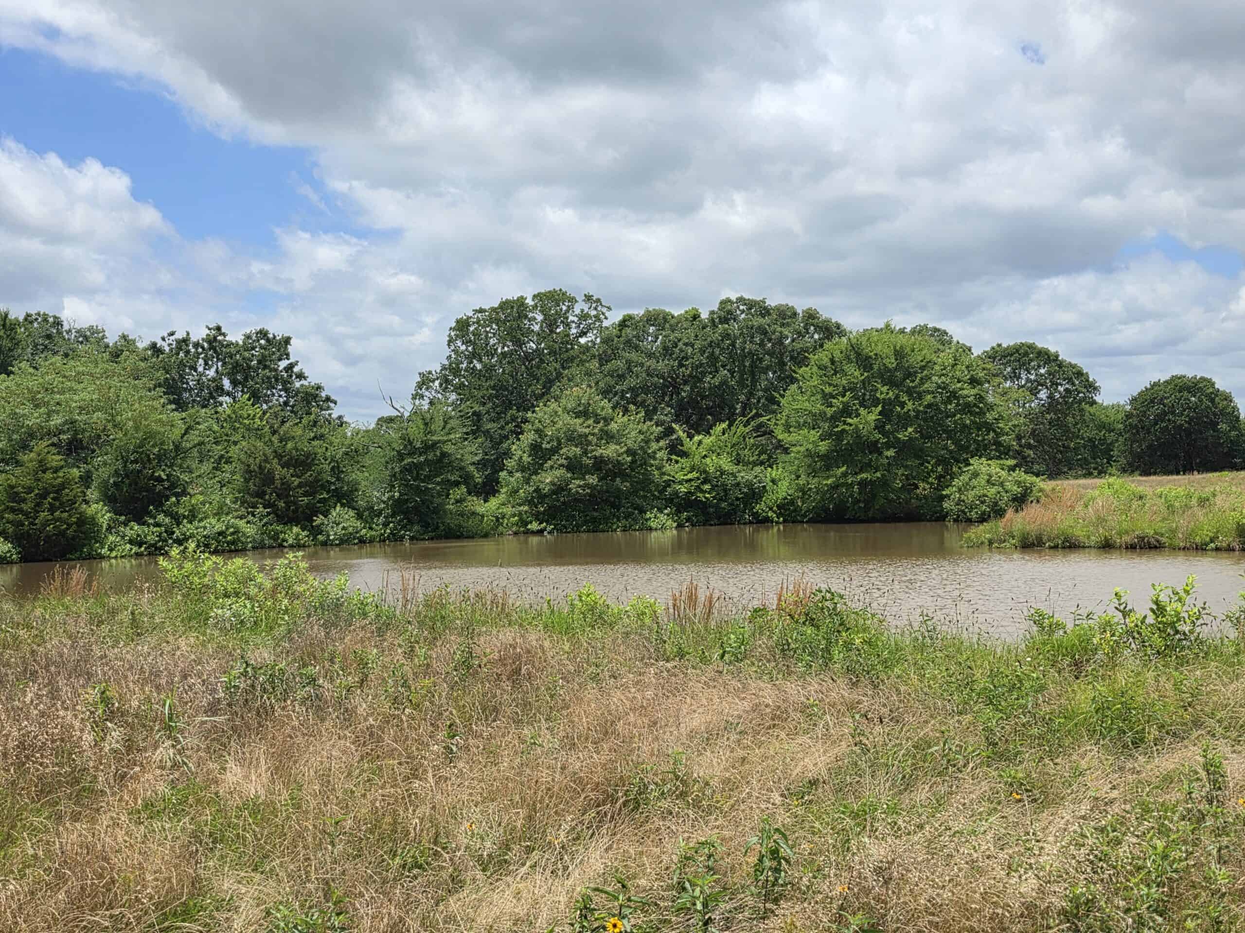 104± Acres of Whitetail Hunting, Hardwood Timber & Fishing Ponds in SE Oklahoma