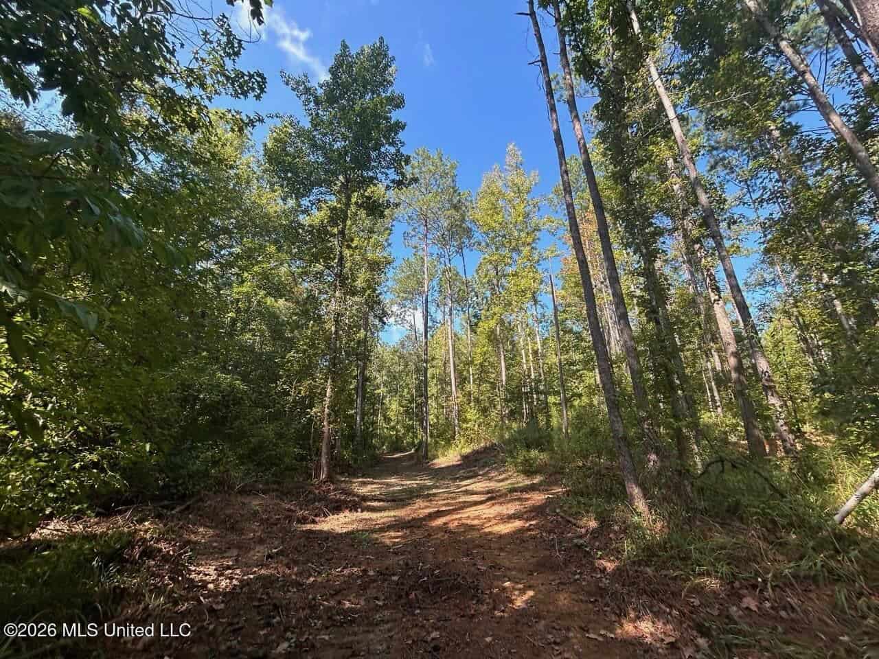 45± Acre Hunting Property in Franklin County, MS