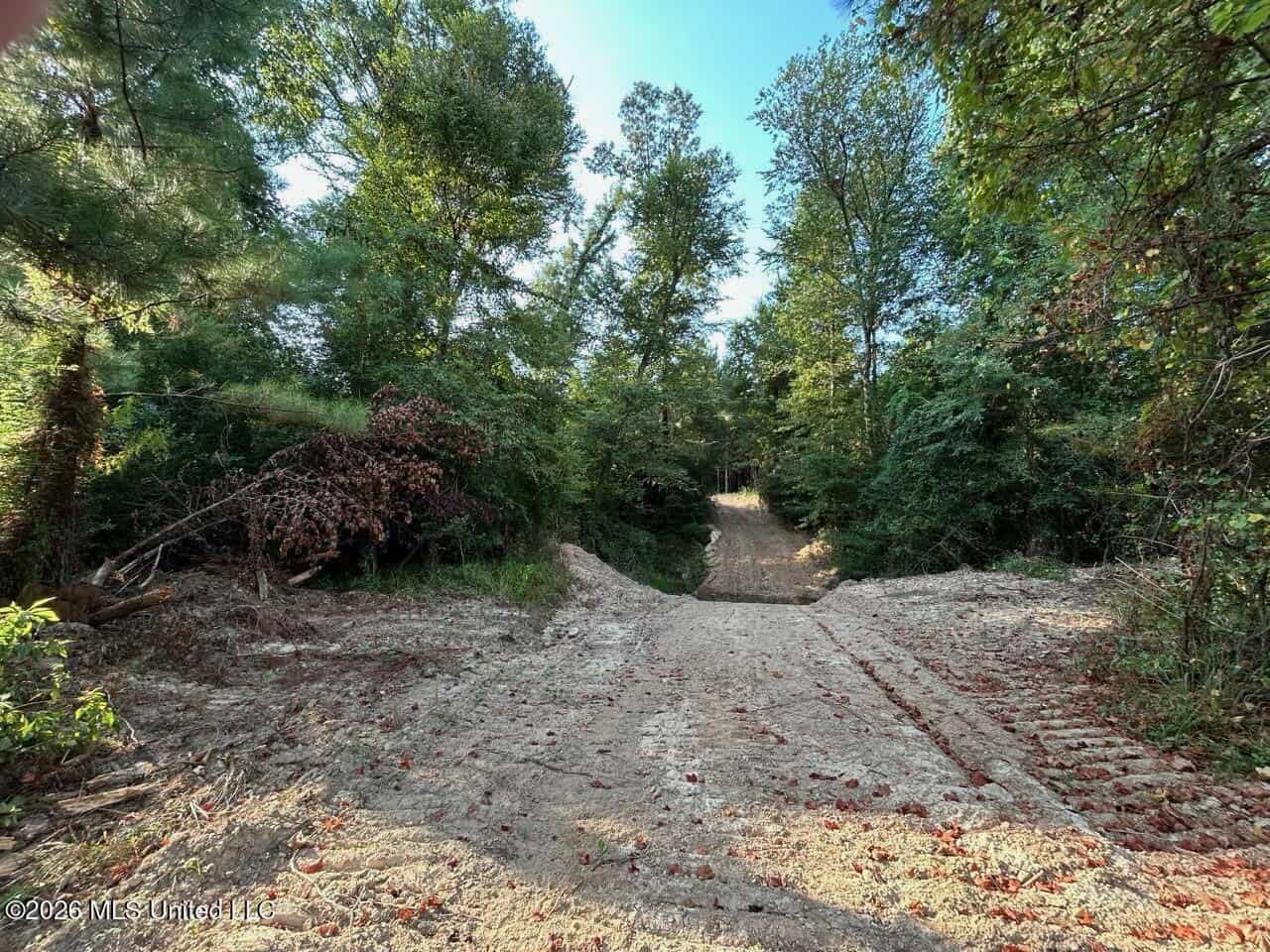 80± Acre Riverfront Hunting Land Near Meadville, MS