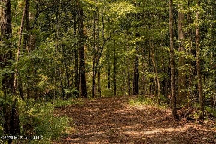 36± Acre Hunting Property Near Bude, MS