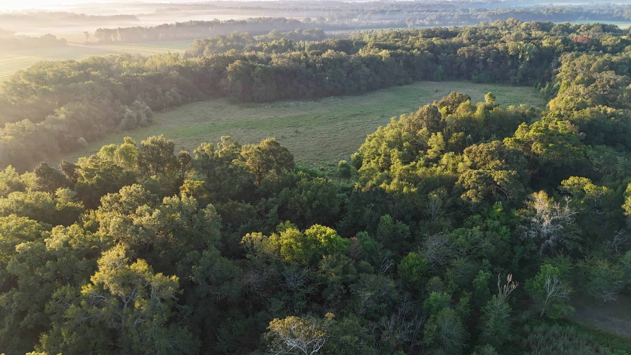80 Ac Home, Hunting & Cattle Land in Franklin Parish LA