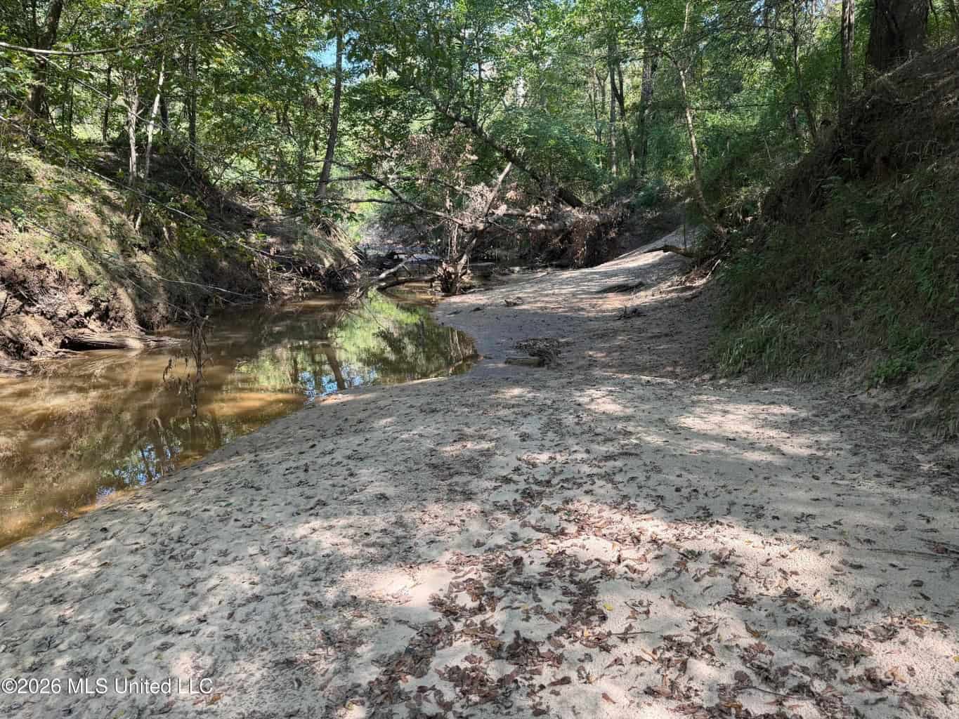 76 Acres of Hunting Land in Raleigh, MS, Smith County