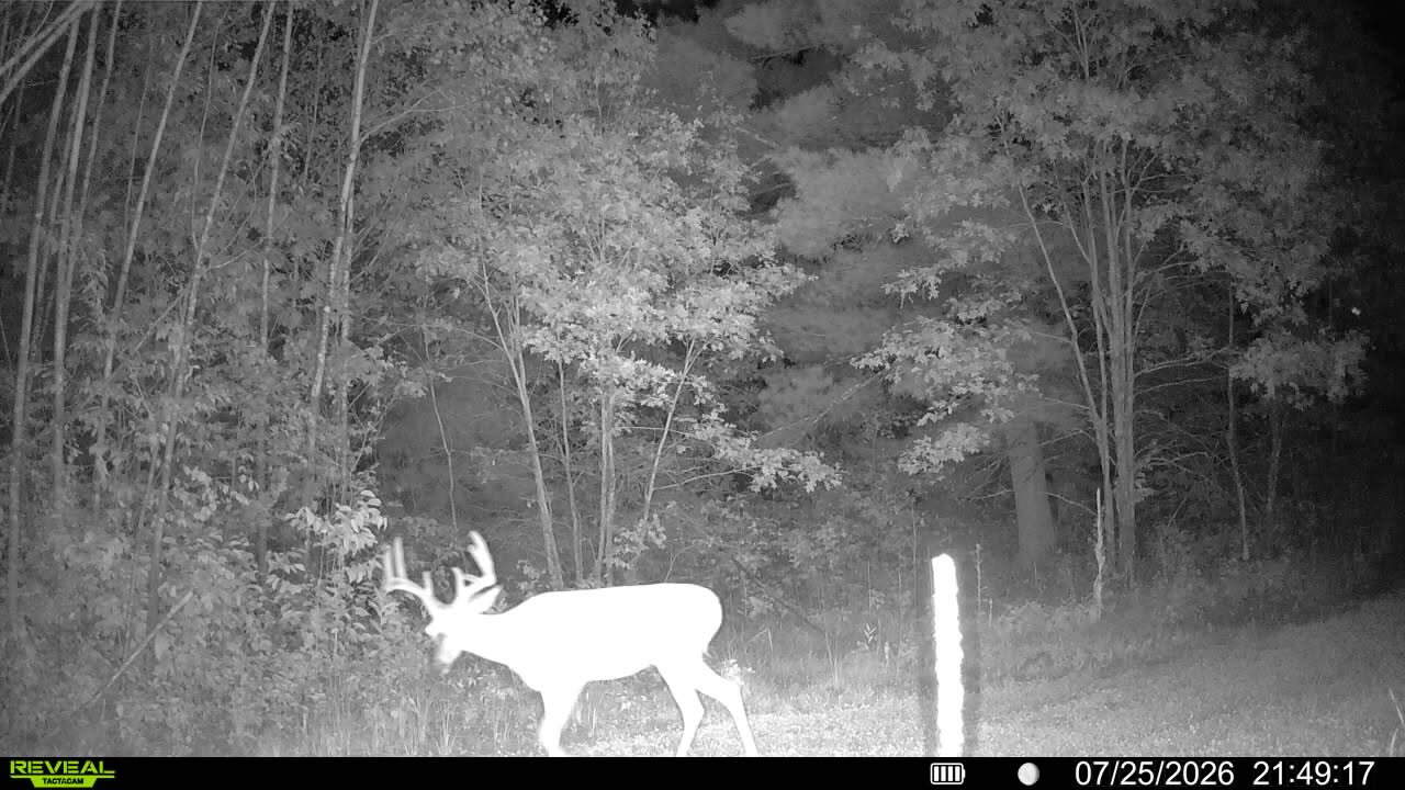 117± Acres of Irrigated Farmland and Trophy Whitetail Habitat — Adams County, Wisconsin
