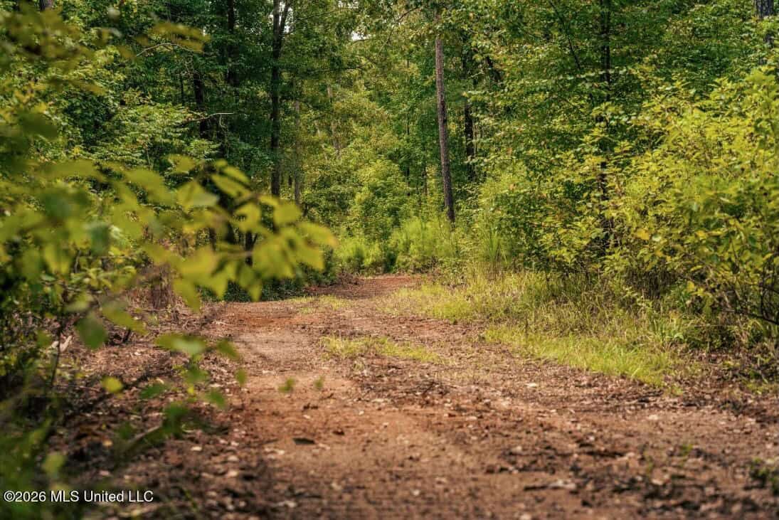 58± Acre Hunting Property in Franklin County, MS