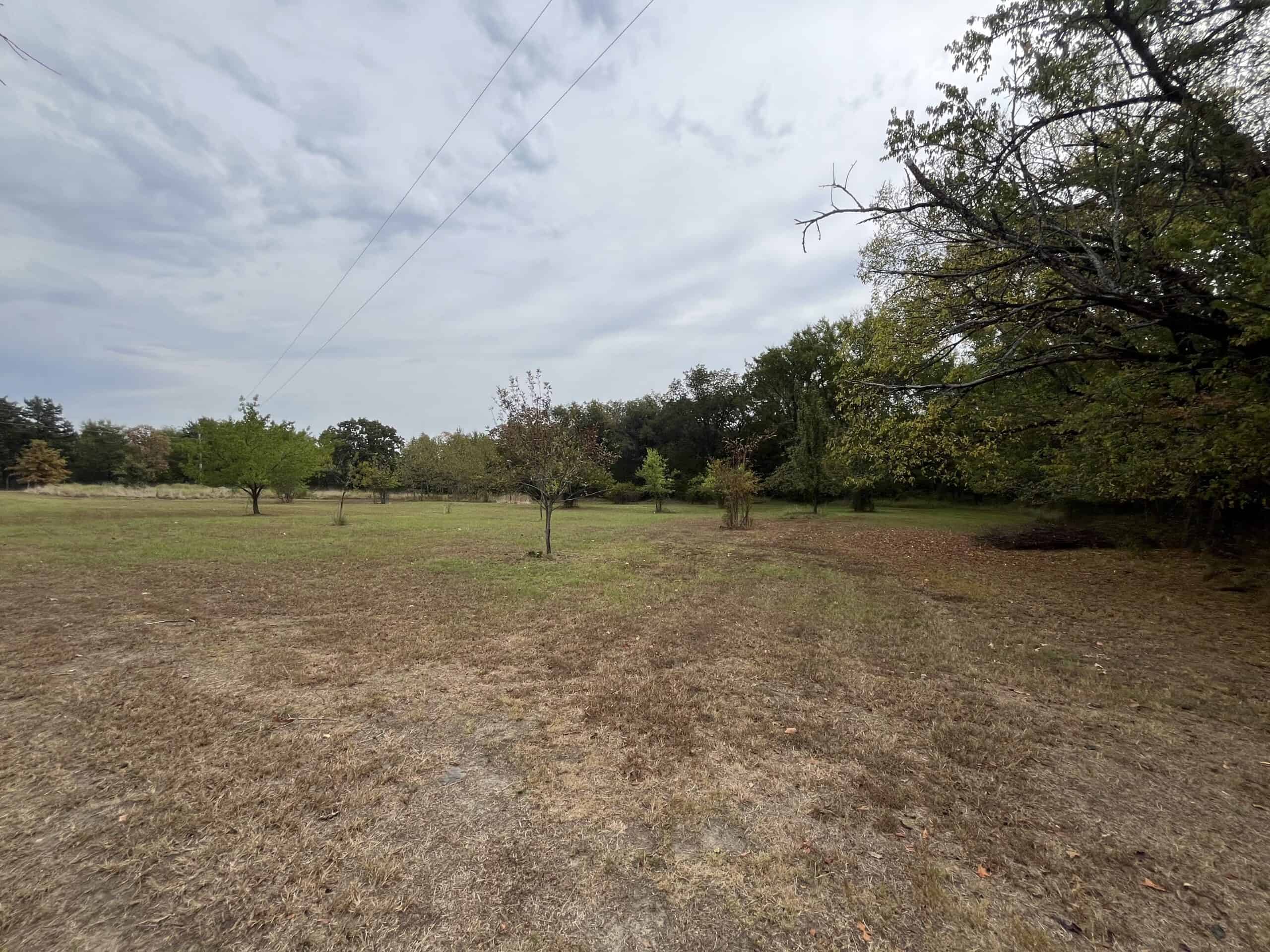 85 Acres of Hunting Land with Native Timber, Wildlife & Pond in SE Oklahoma