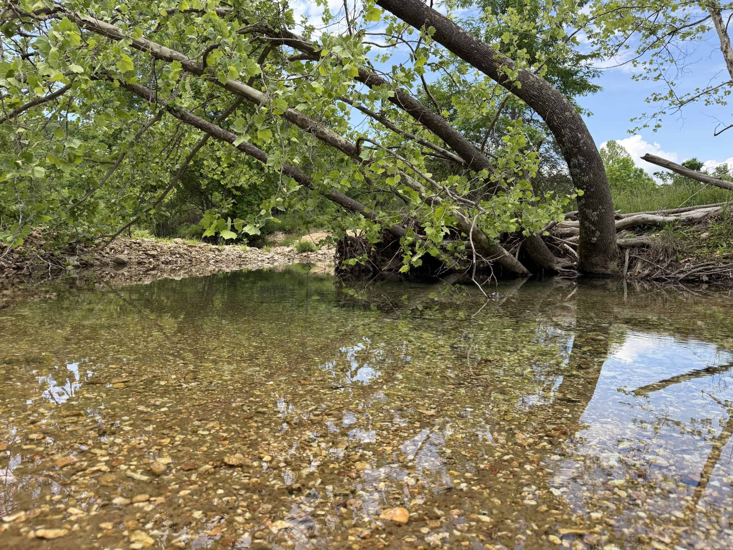 473 ± Acre Ozark Farm for Sale Near Salem, Missouri
