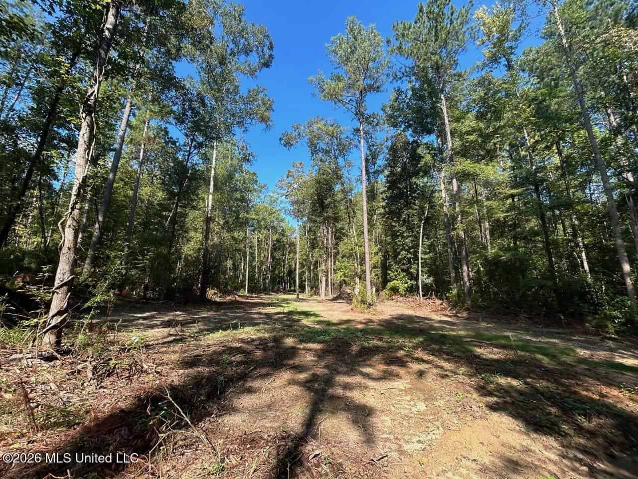 45± Acre Hunting Property in Franklin County, MS
