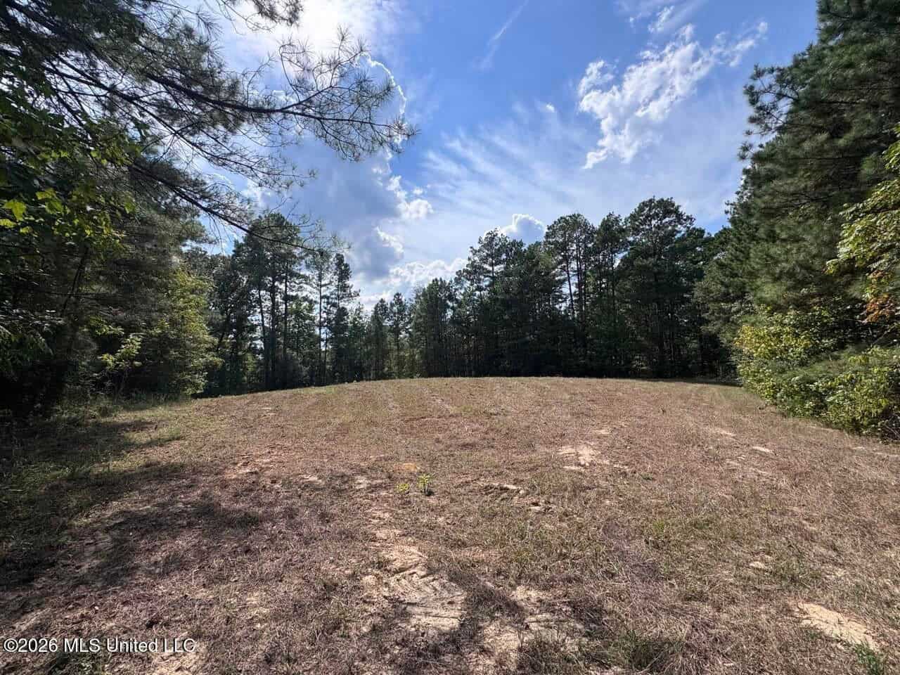 200± Acre Hunting Property in Jefferson County, MS