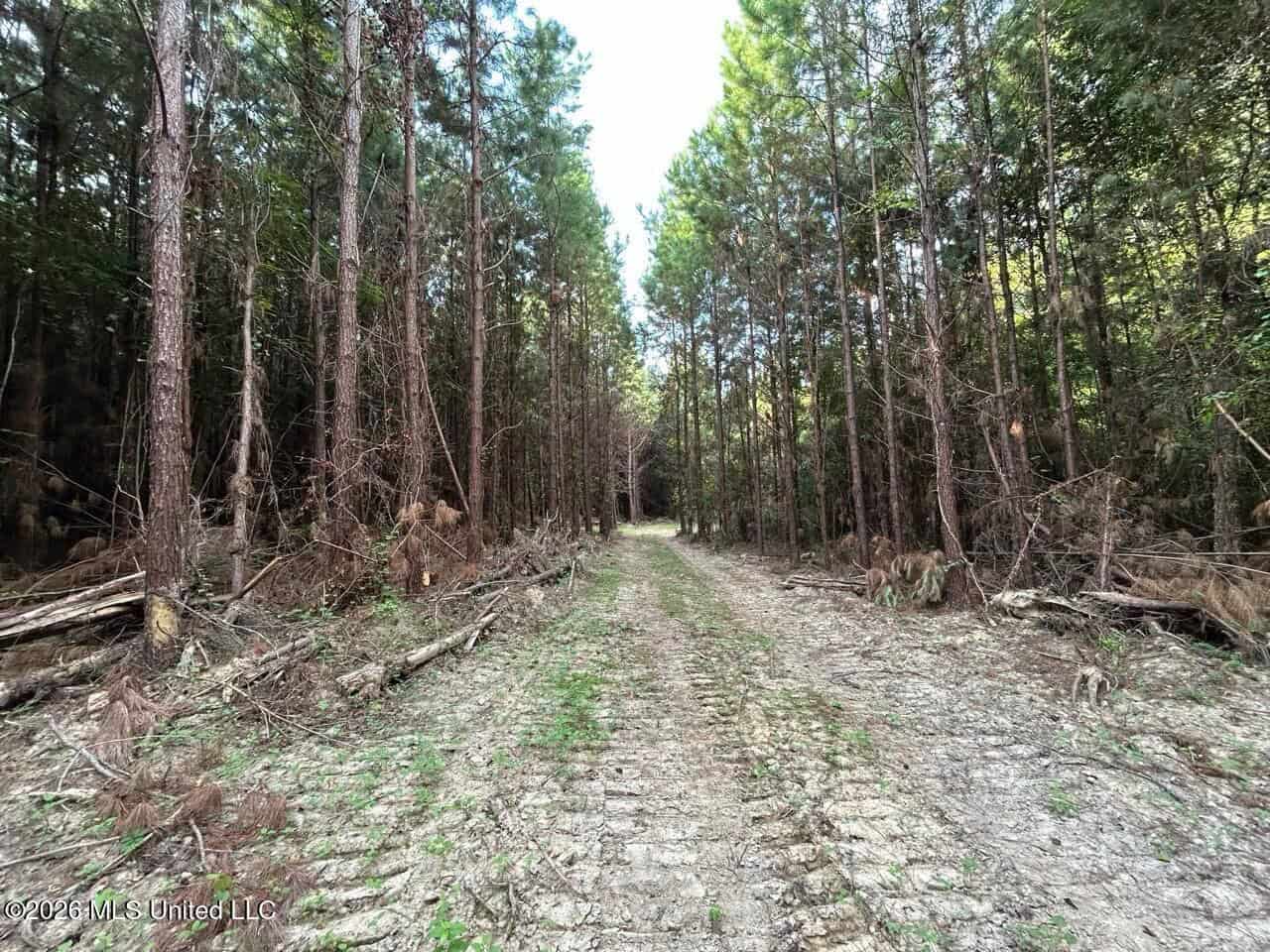 80± Acre Riverfront Hunting Land Near Meadville, MS
