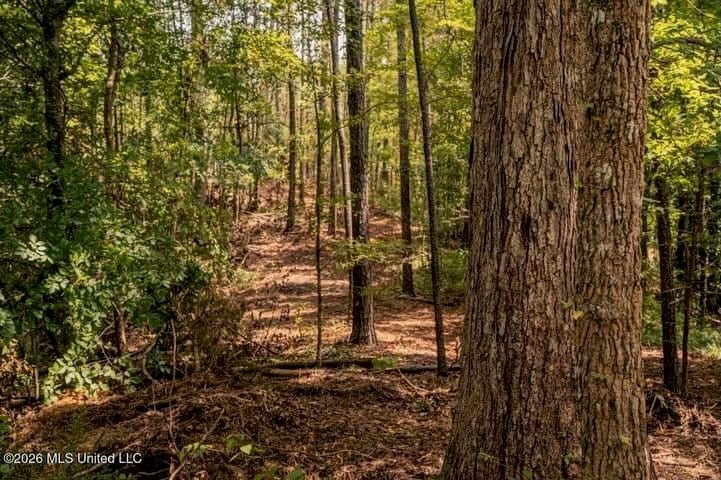 36± Acre Hunting Property Near Bude, MS