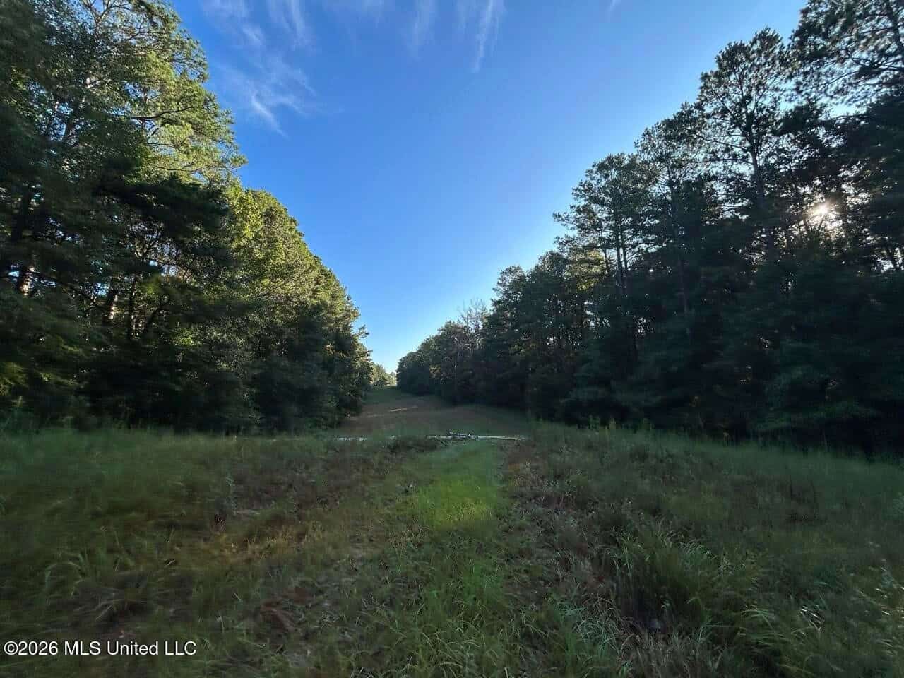 210+/- Acres and Cabin in Franklin County, MS