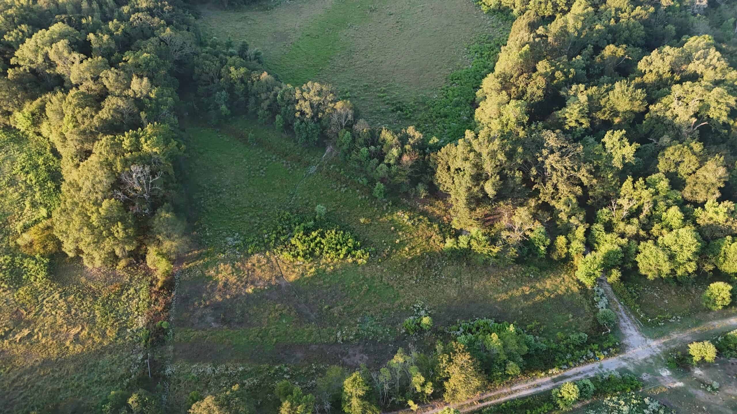 80 Ac Home, Hunting & Cattle Land in Franklin Parish LA