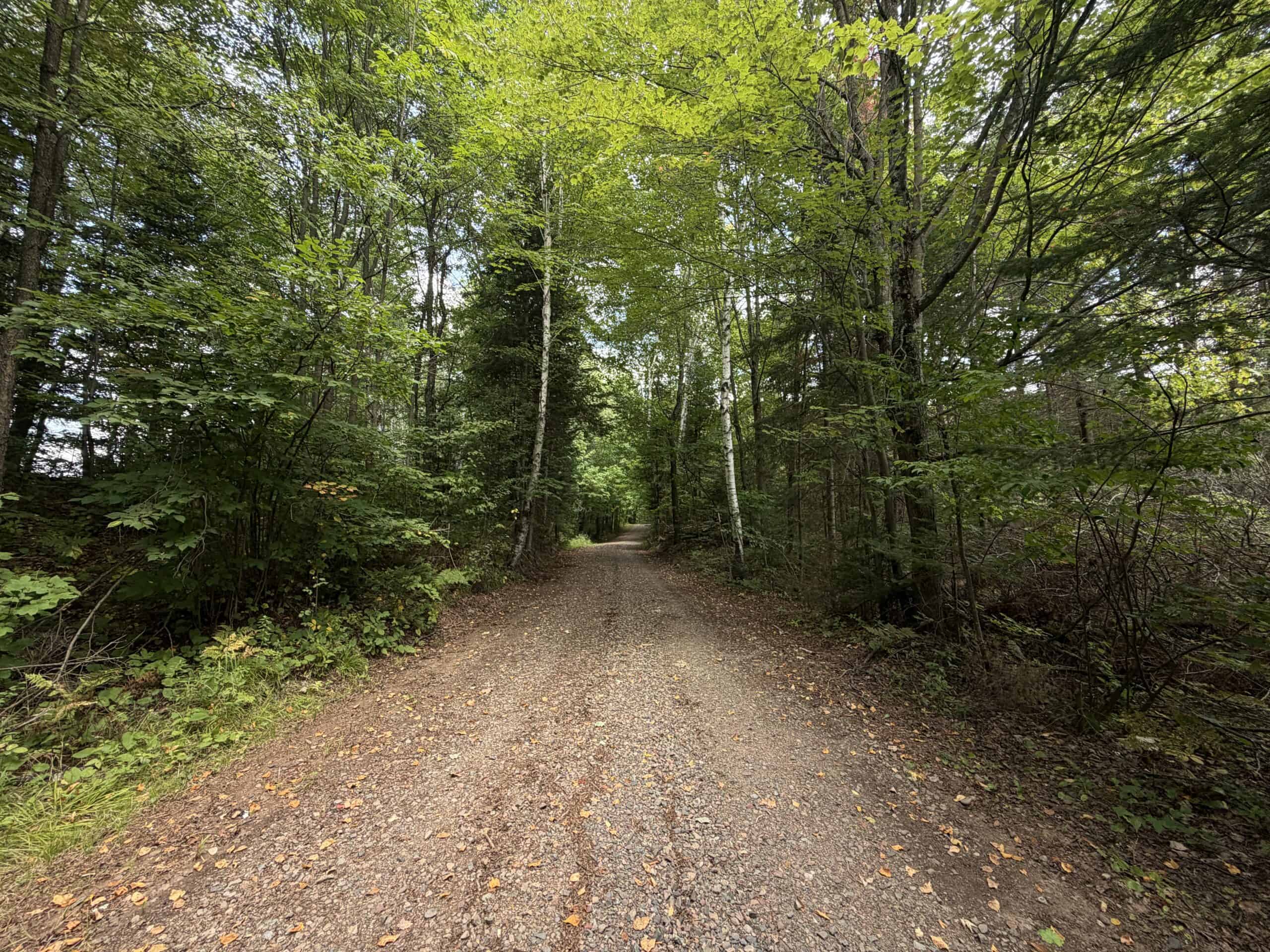 37.5± Acres with Off-Grid Cabin – Taylor County, Wisconsin