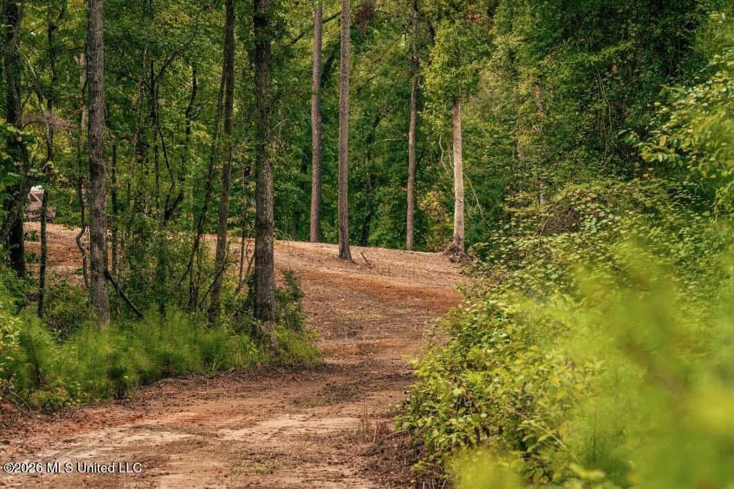 58± Acre Hunting Property in Franklin County, MS