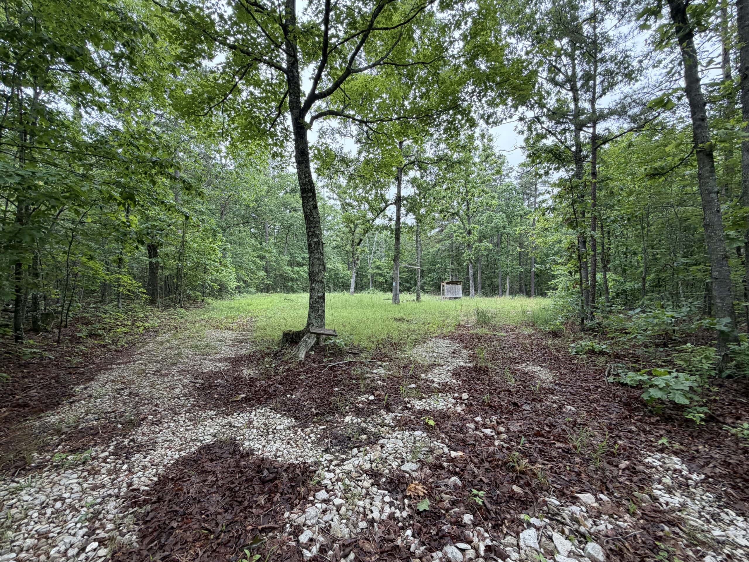 46.12 ± Acre Hunting Land for Sale in the Missouri Ozarks