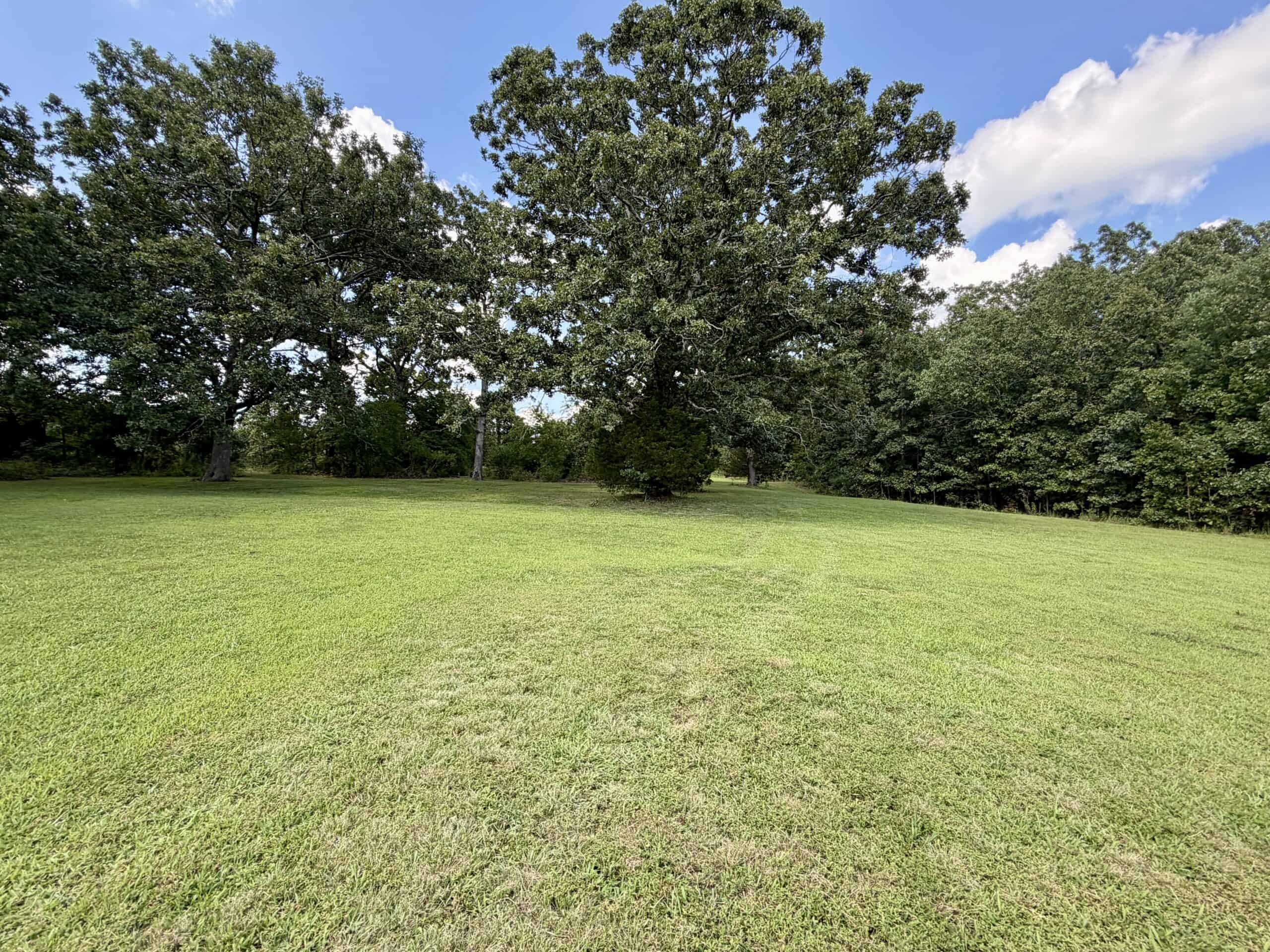 91 ± Acre Hunting Property for Sale in Salem, Missouri Ozarks