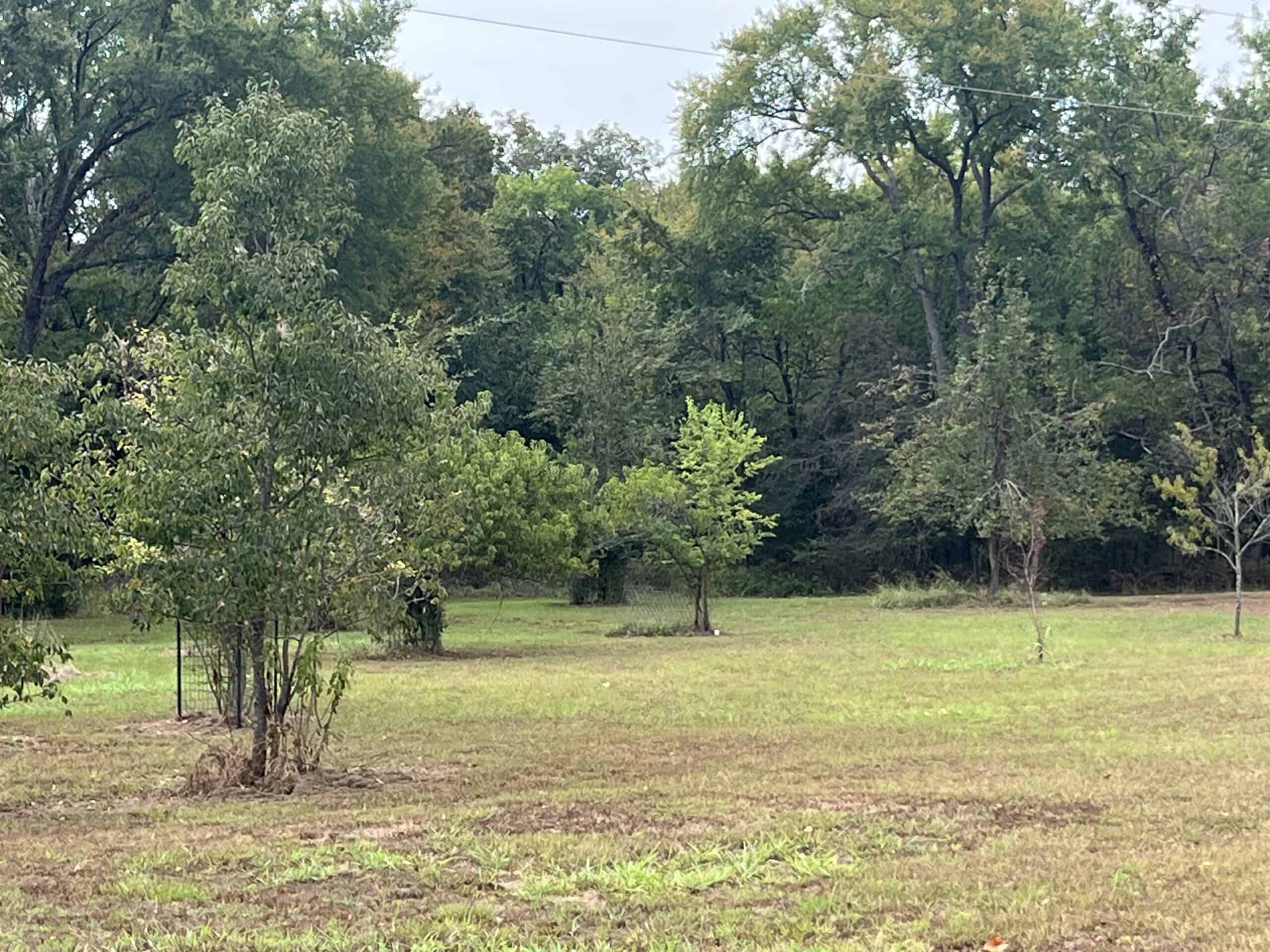85 Acres of Hunting Land with Native Timber, Wildlife & Pond in SE Oklahoma