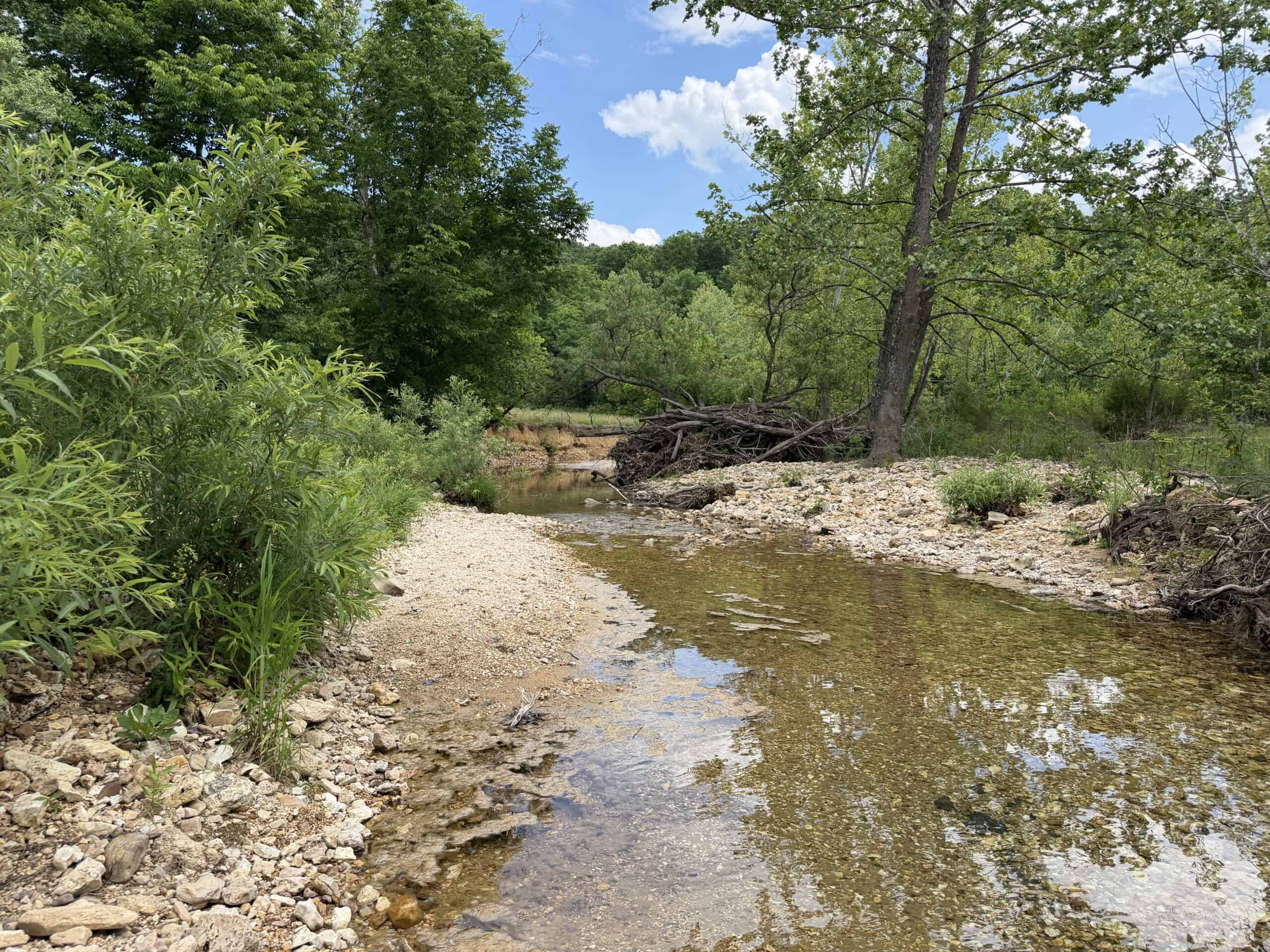 473 ± Acre Ozark Farm for Sale Near Salem, Missouri