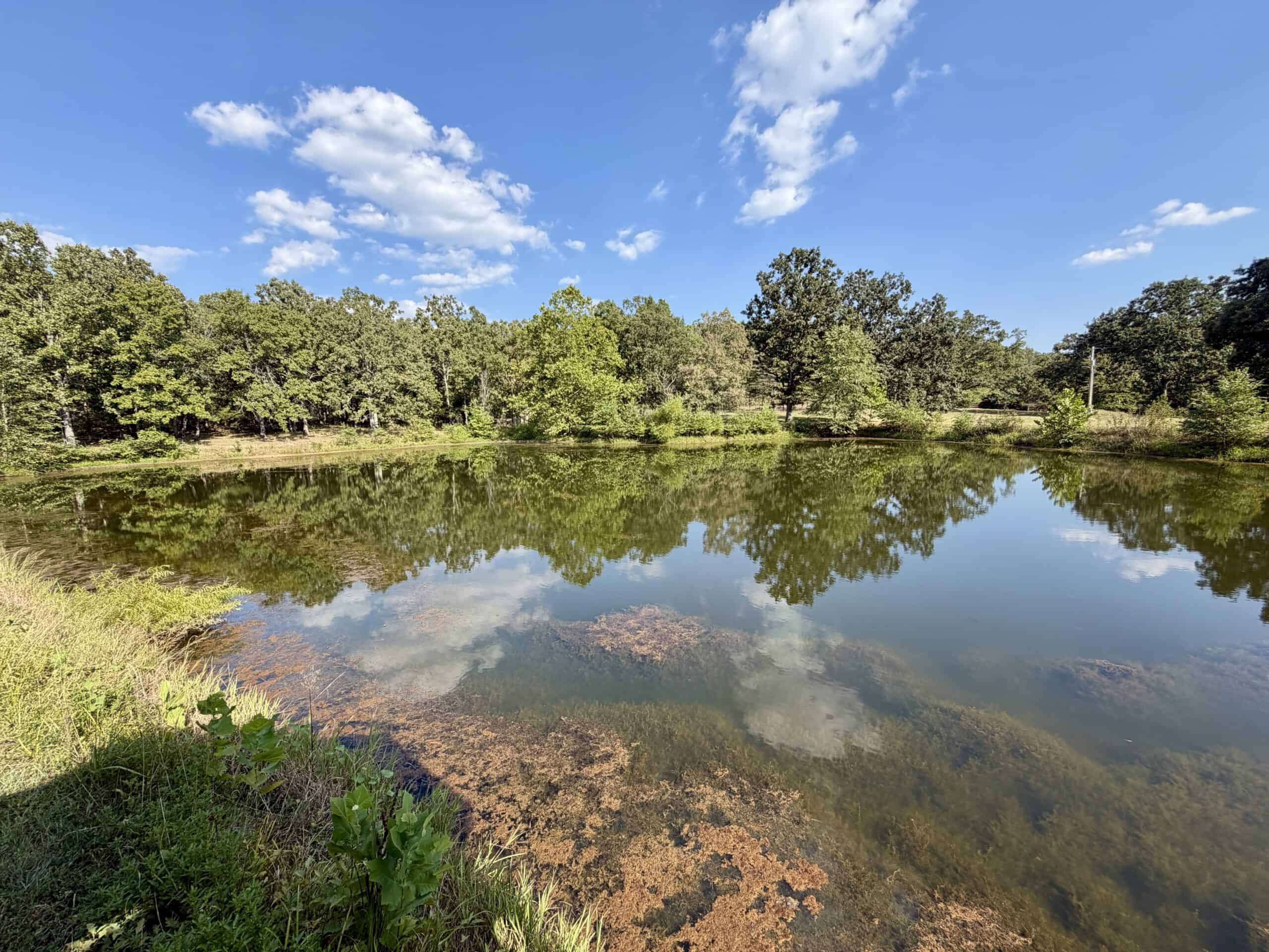 Salem, MO – 20-Acre Hunting & Recreational Retreat with Stocked Pond