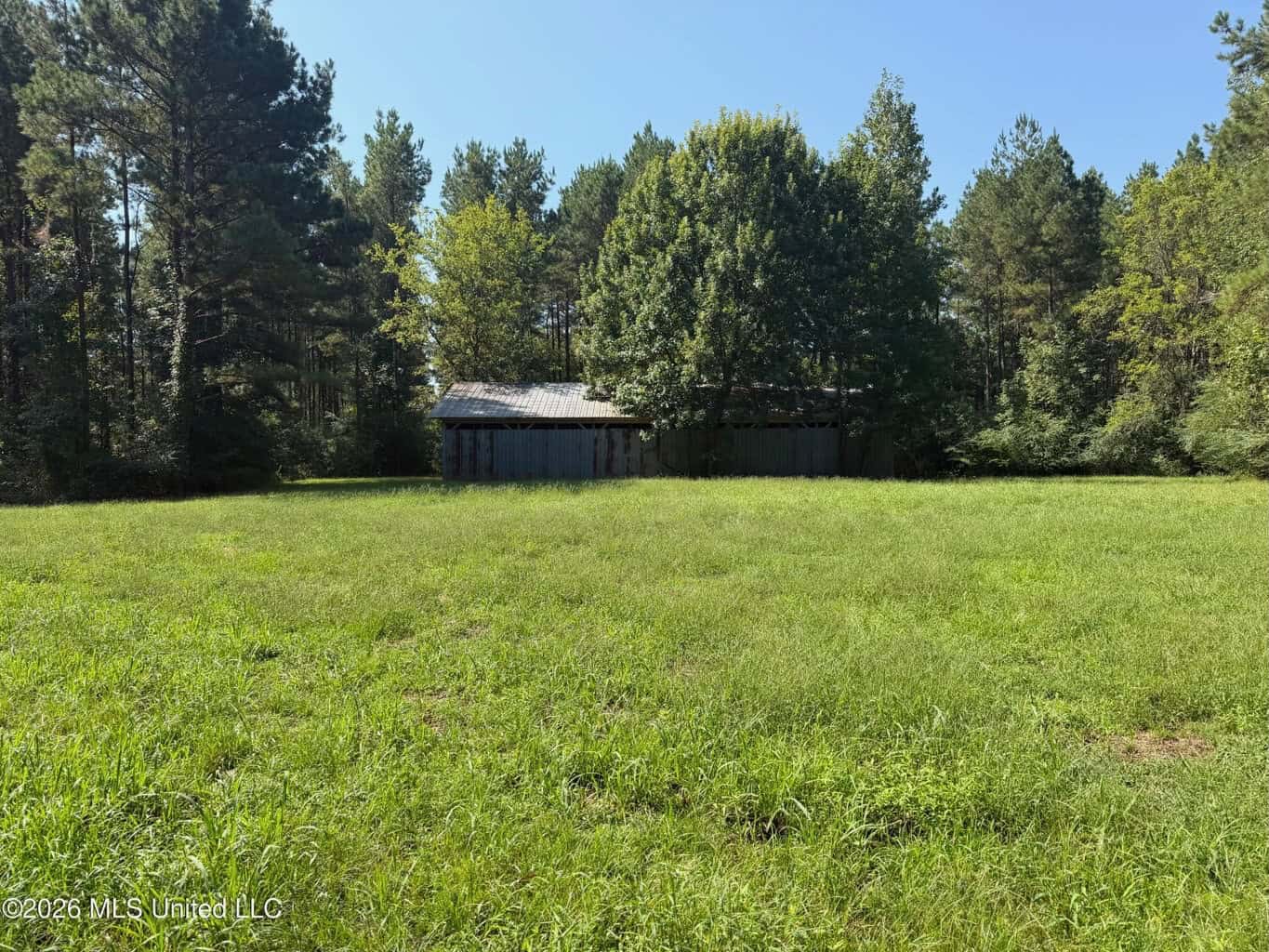 52 Acres Hunting & Timberland in Raleigh, MS