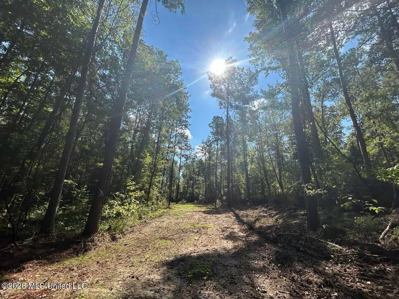 45± Acre Hunting Property in Franklin County, MS