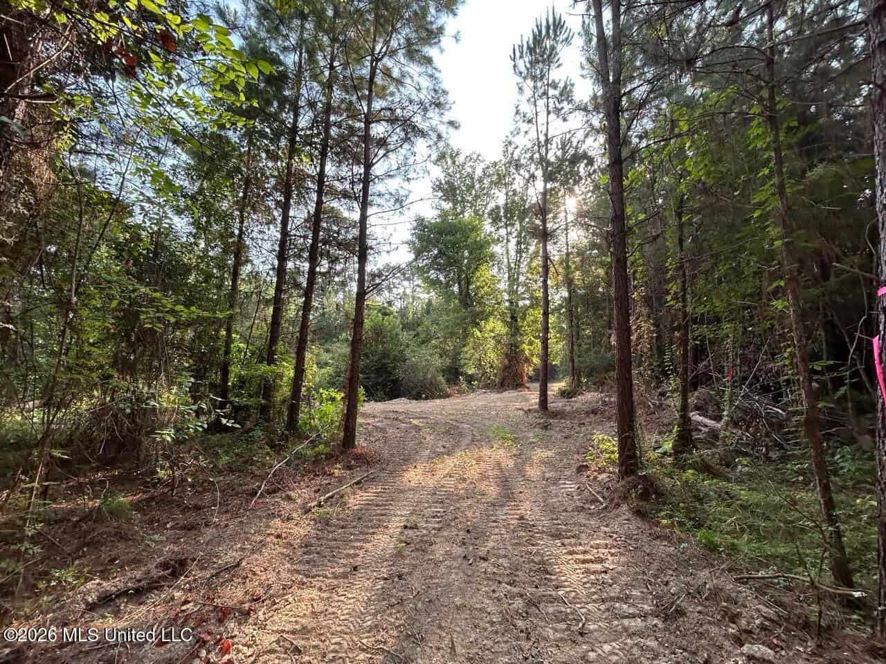 80± Acre Riverfront Hunting Land Near Meadville, MS