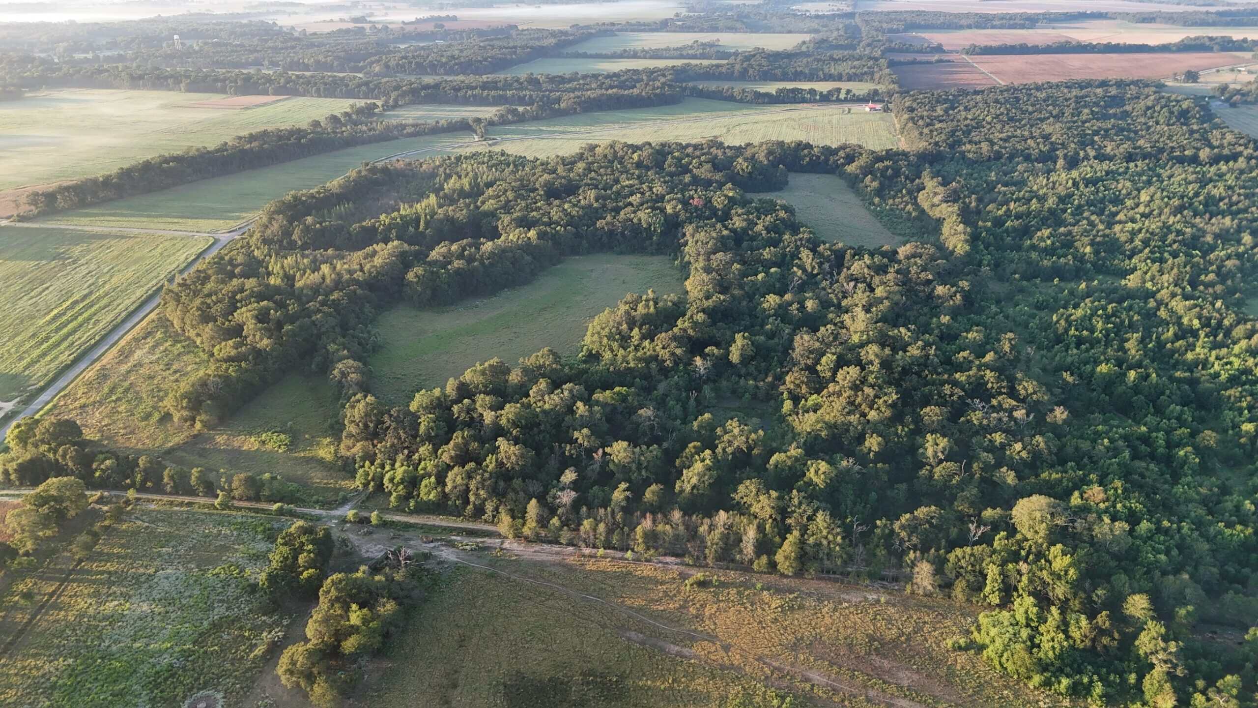 80 Ac Home, Hunting & Cattle Land in Franklin Parish LA