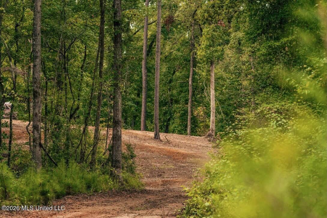 58± Acre Hunting Property in Franklin County, MS