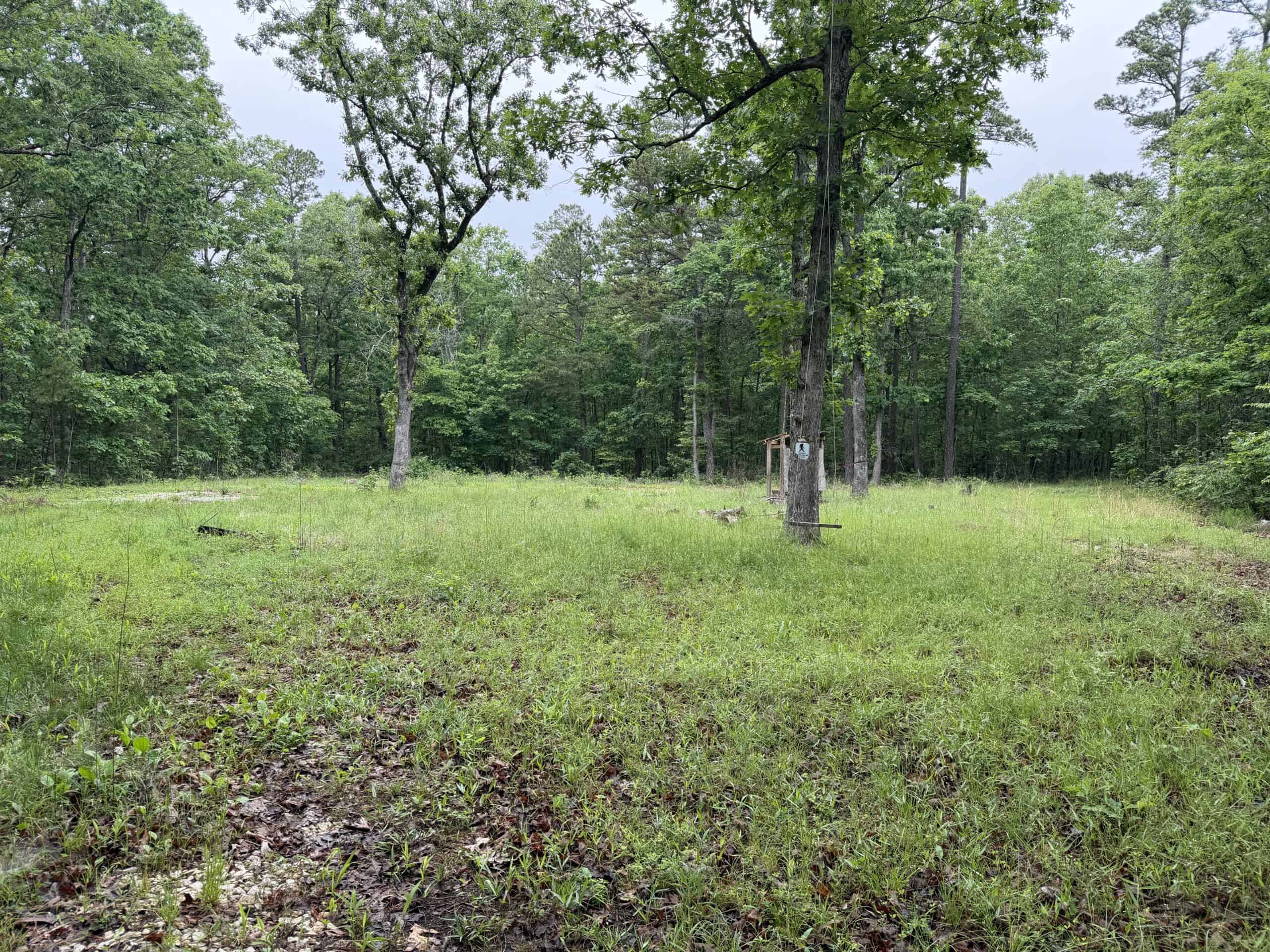 46.12 ± Acre Hunting Land for Sale in the Missouri Ozarks