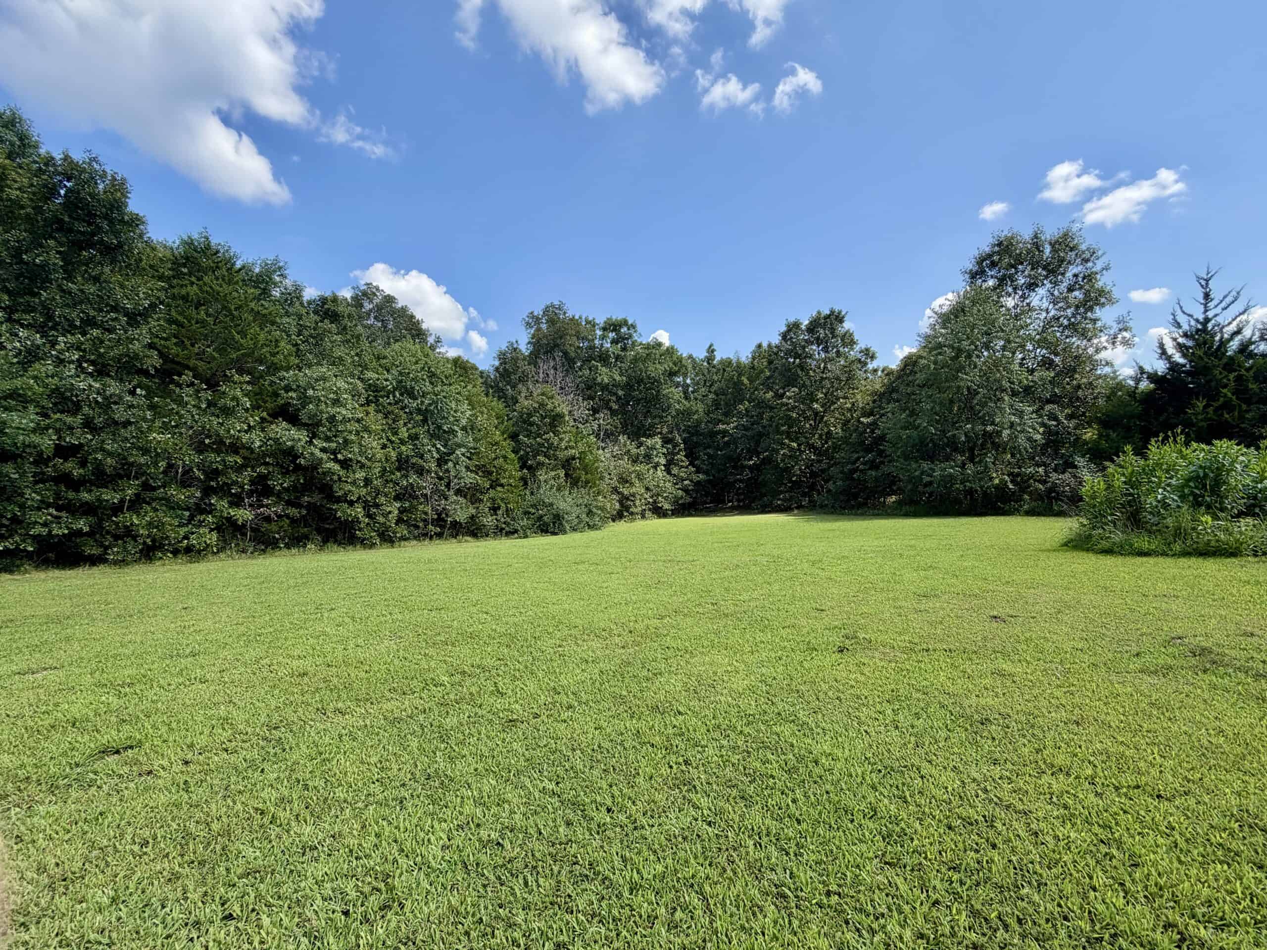 91 ± Acre Hunting Property for Sale in Salem, Missouri Ozarks