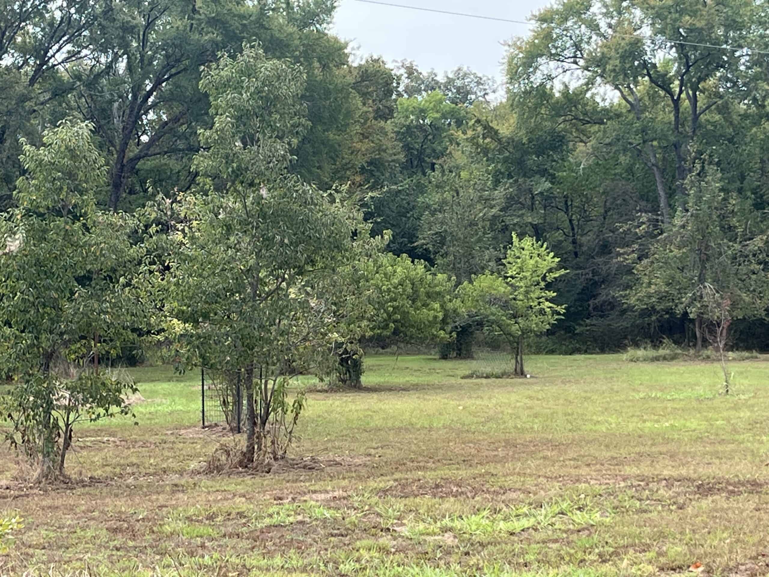 85 Acres of Hunting Land with Native Timber, Wildlife & Pond in SE Oklahoma