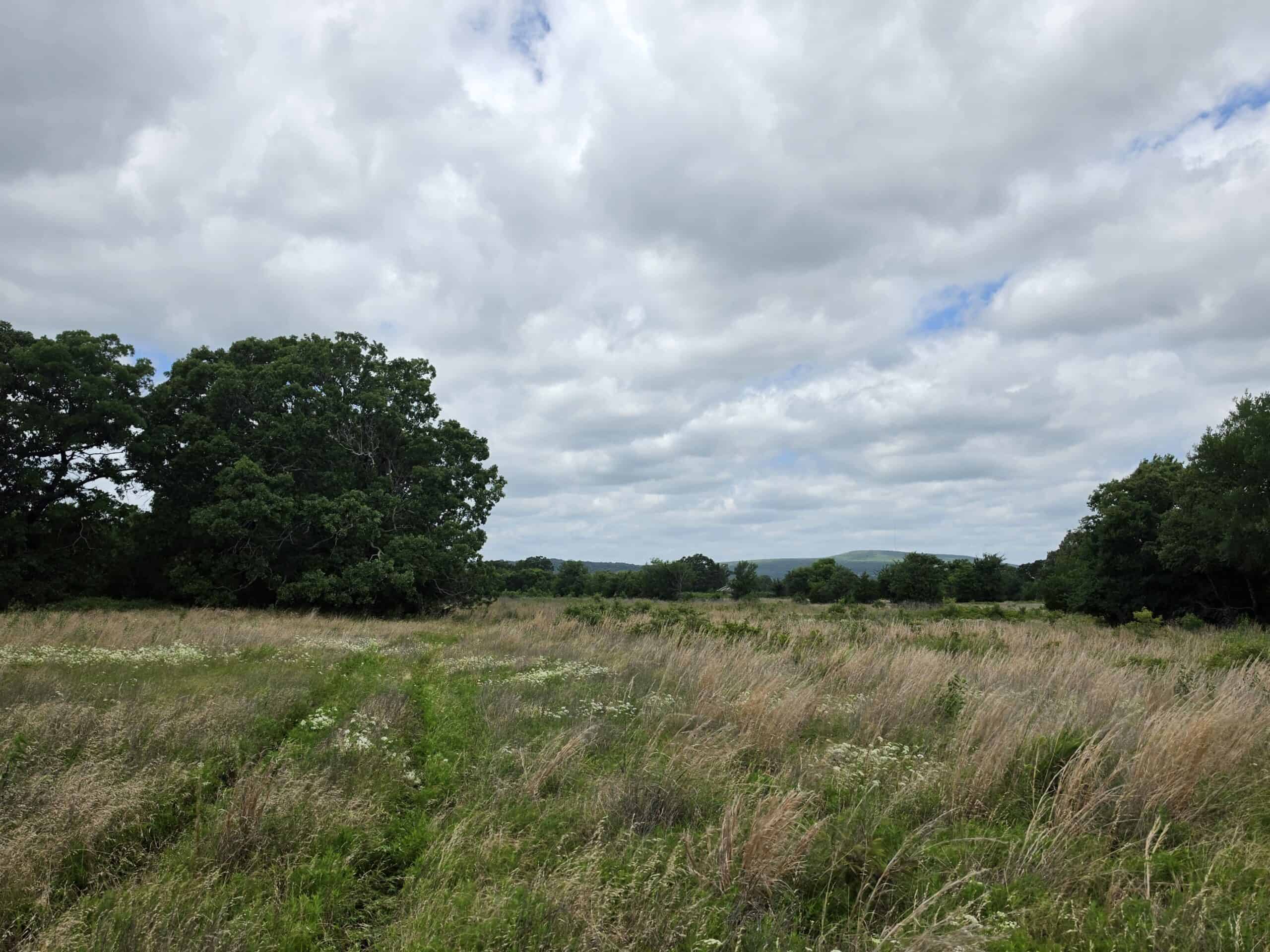 104± Acres of Whitetail Hunting, Hardwood Timber & Fishing Ponds in SE Oklahoma