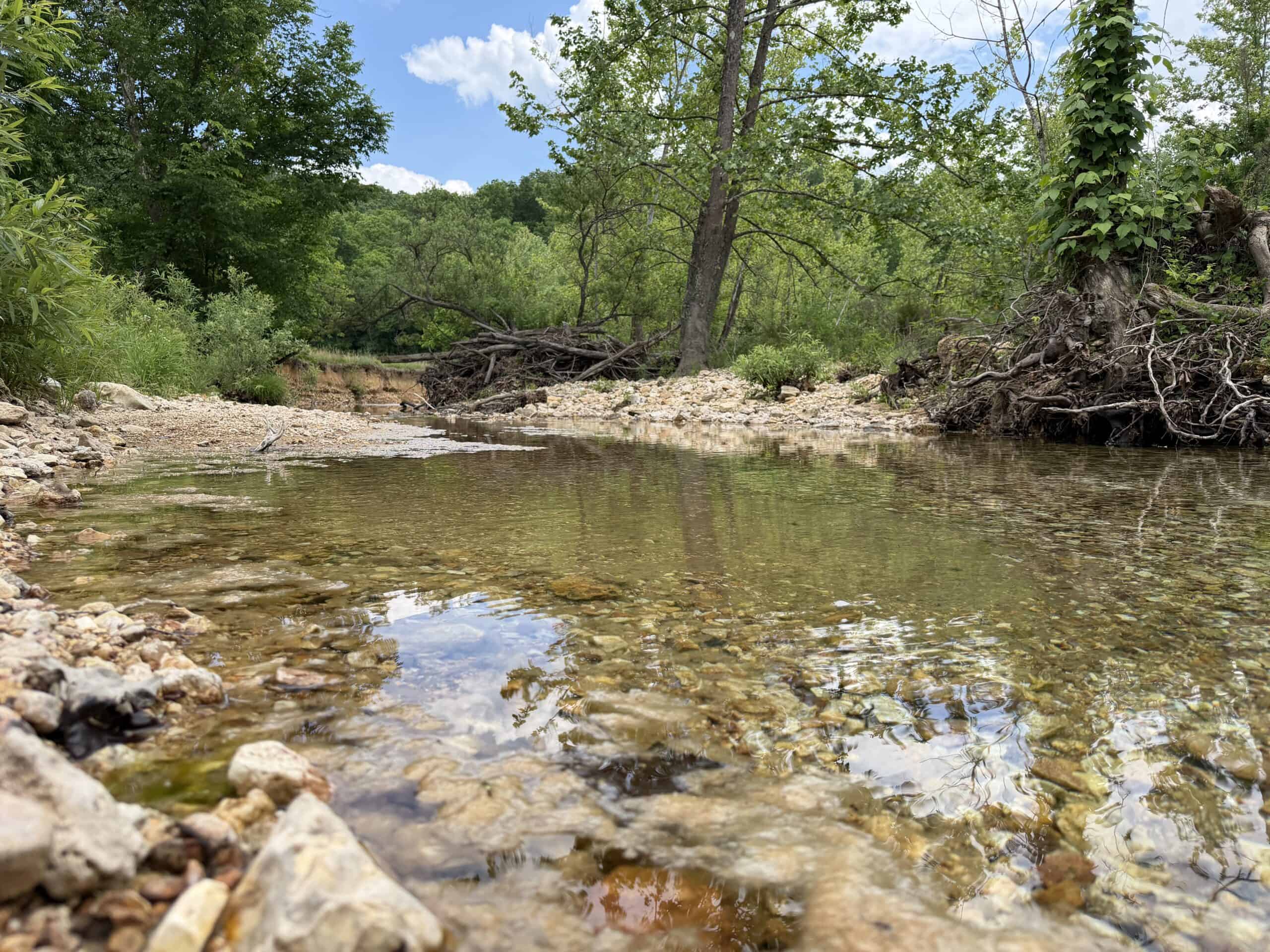 473 ± Acre Ozark Farm for Sale Near Salem, Missouri